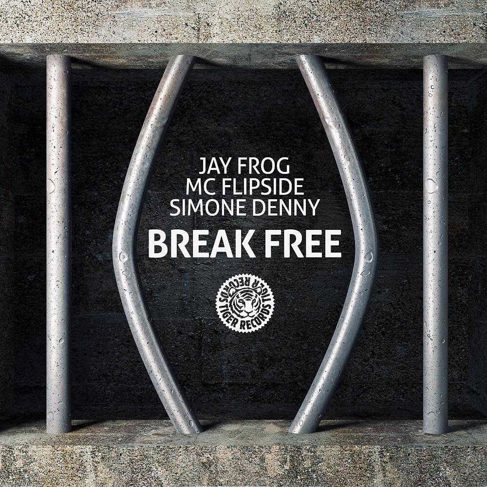 Jay Frog, MC Flipside & Simone Denny - Break Free (Subject G Remix)