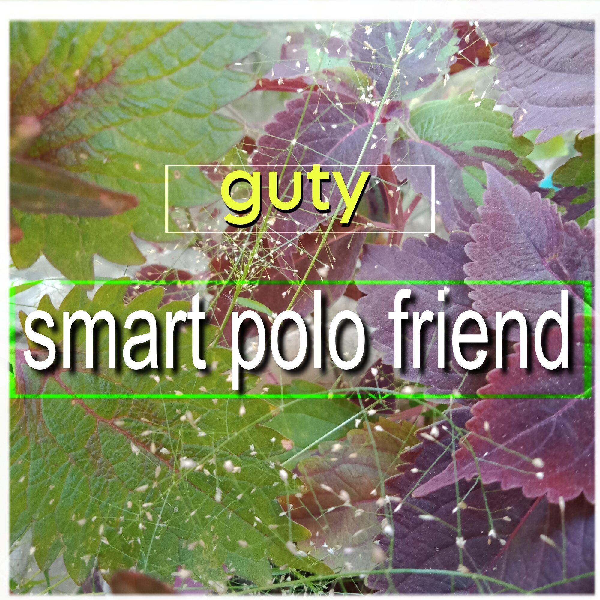 Постер альбома smart polo friend
