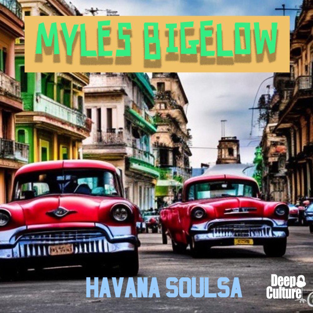 Постер альбома Havana Soulsa