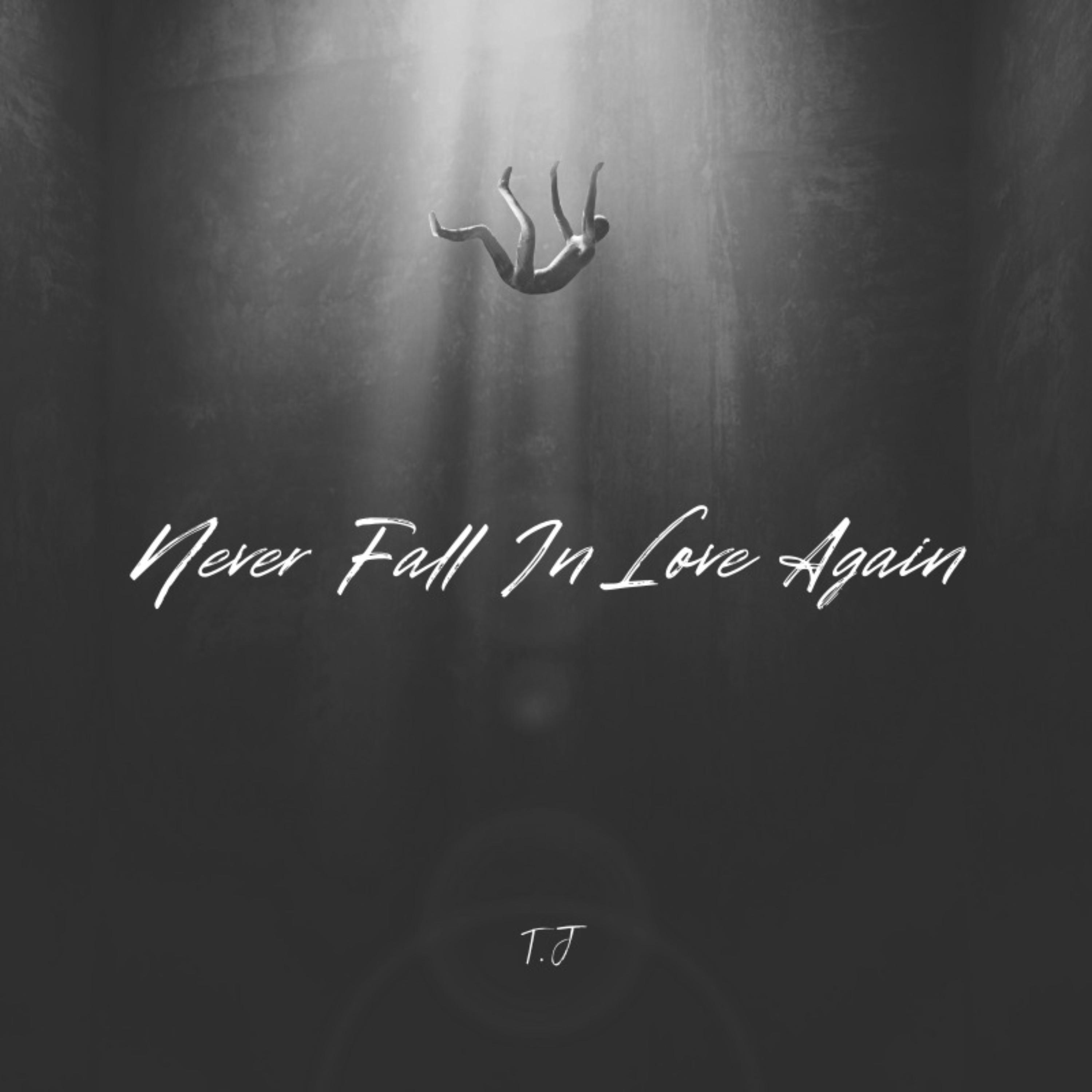 Постер альбома Never Fall In Love Again