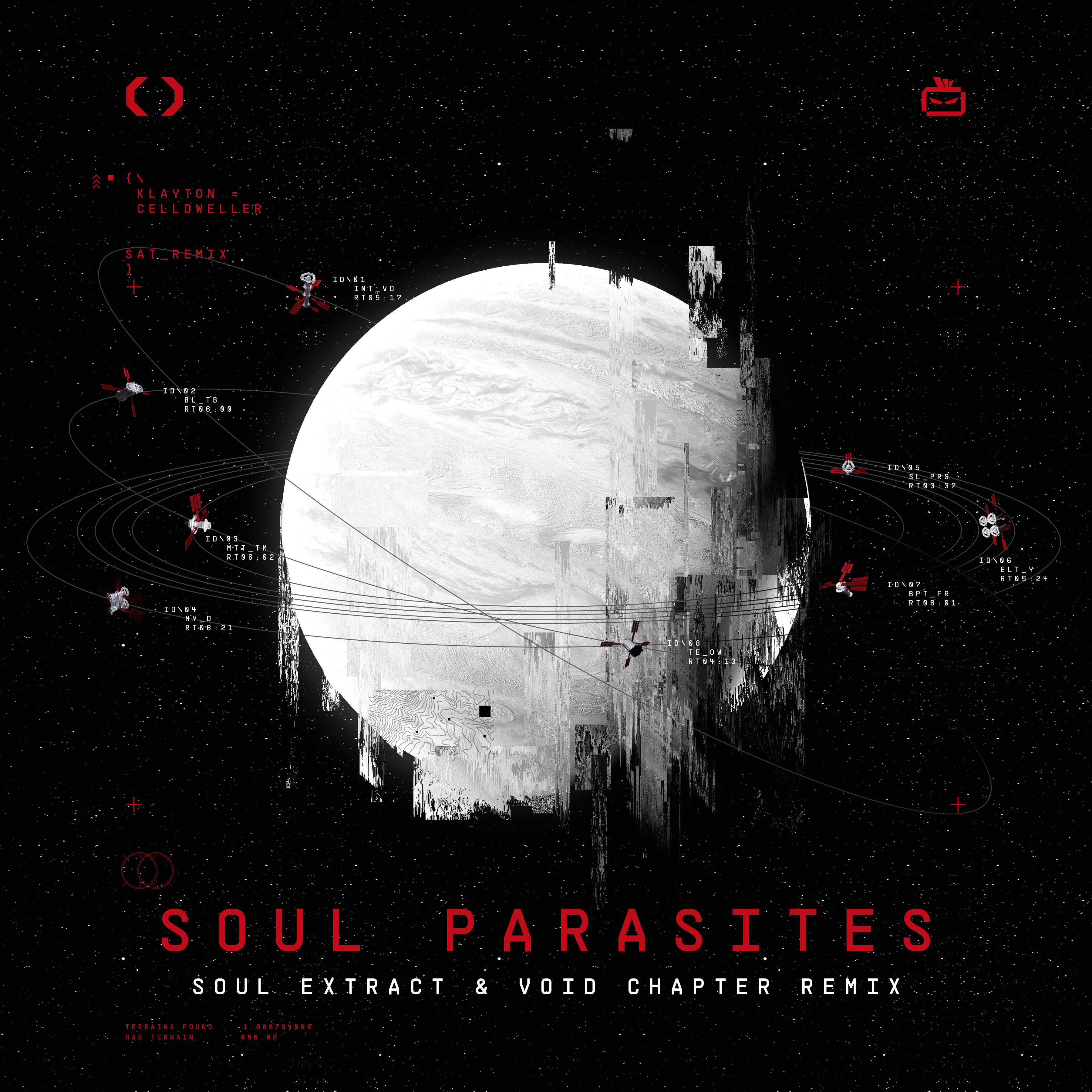 Постер альбома Soul Parasites