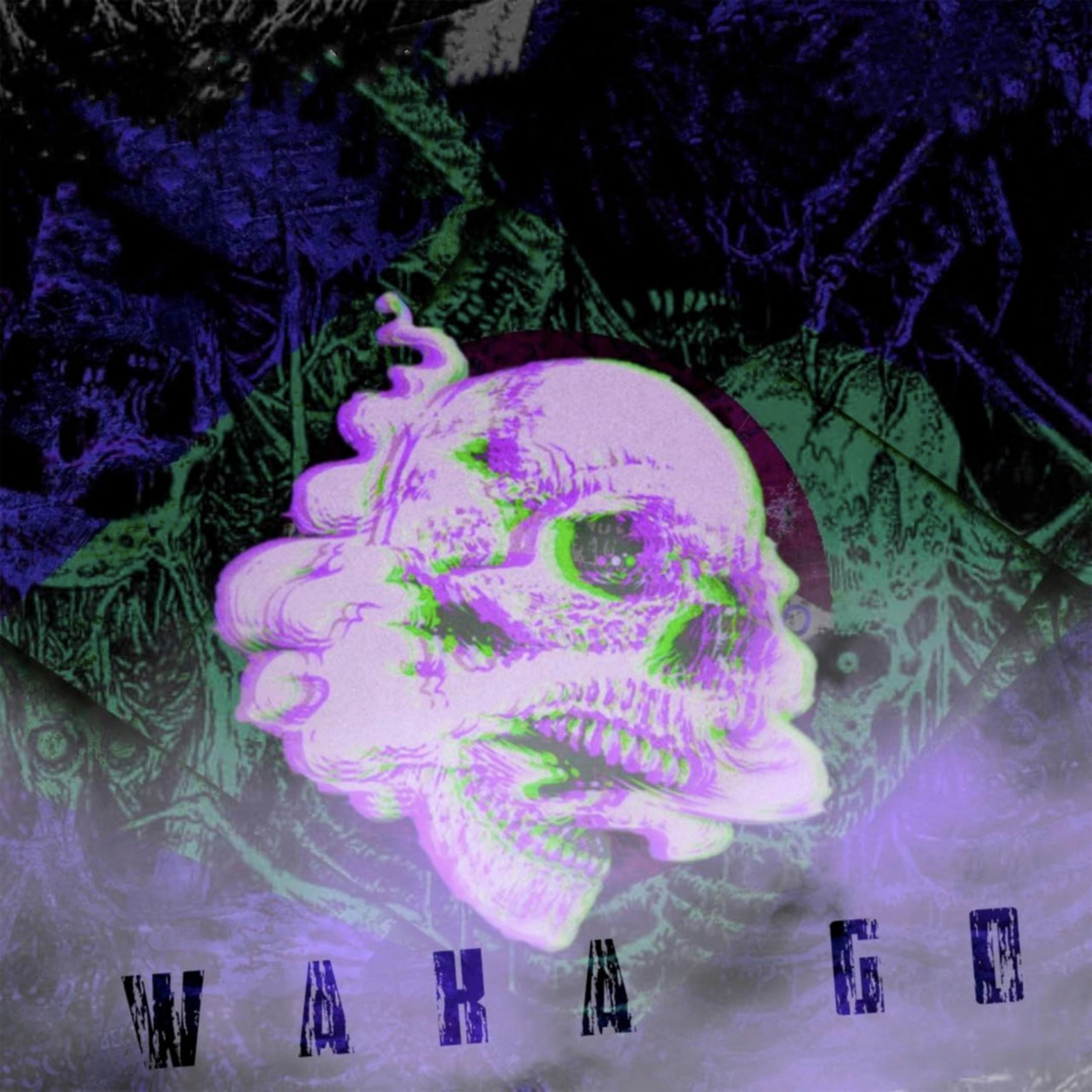 Постер альбома WAKA GO
