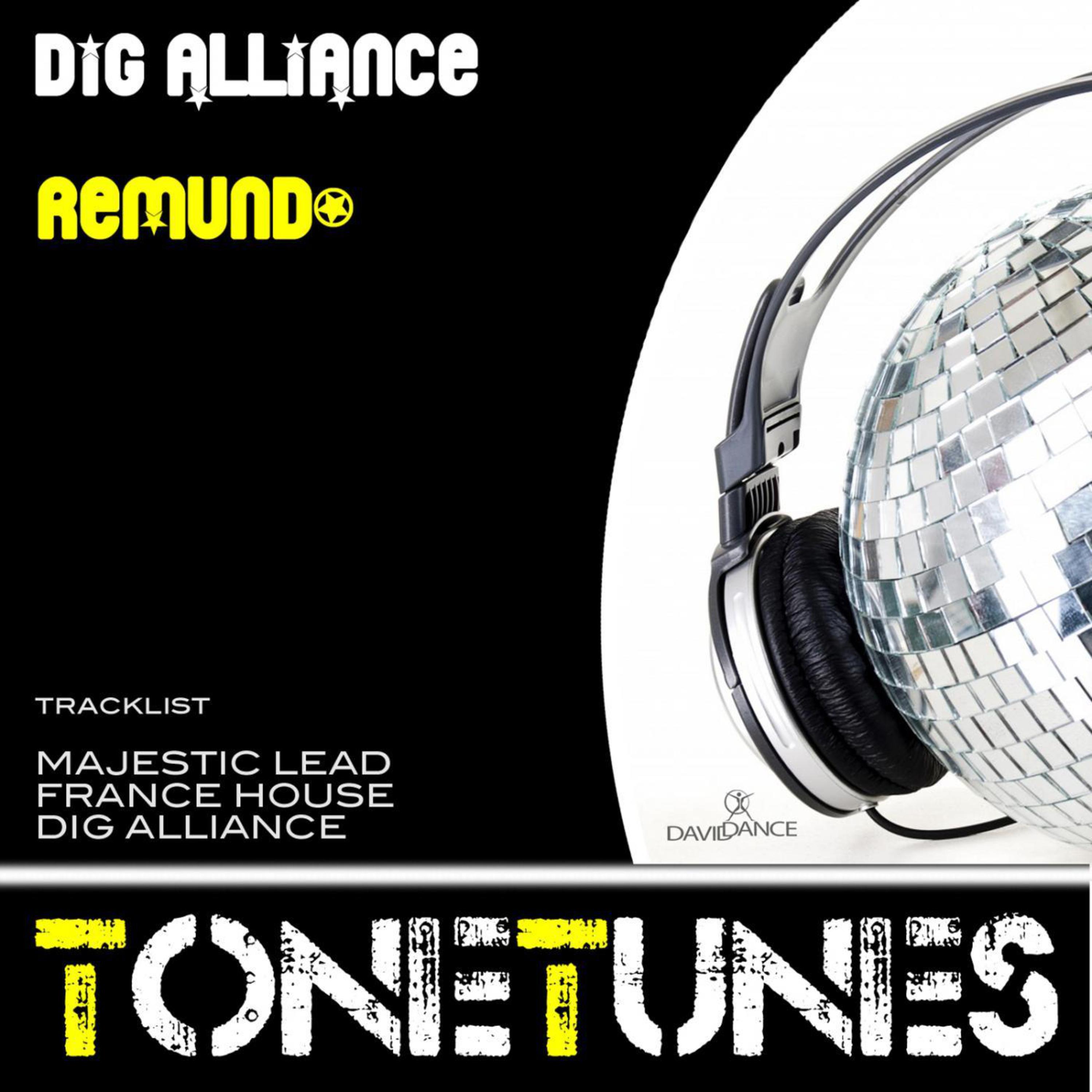 Постер альбома Dig Alliance