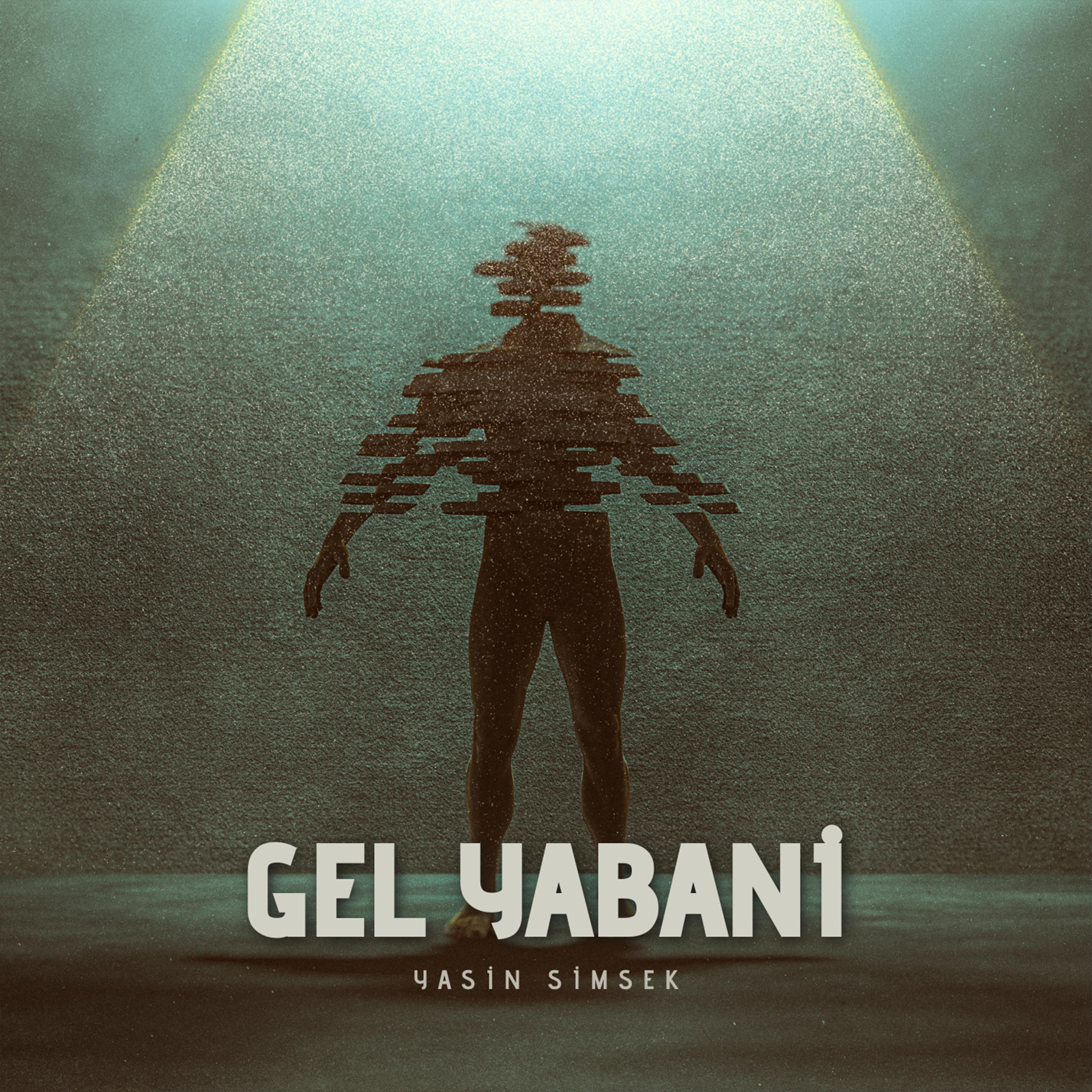 Постер альбома Gel Yabani
