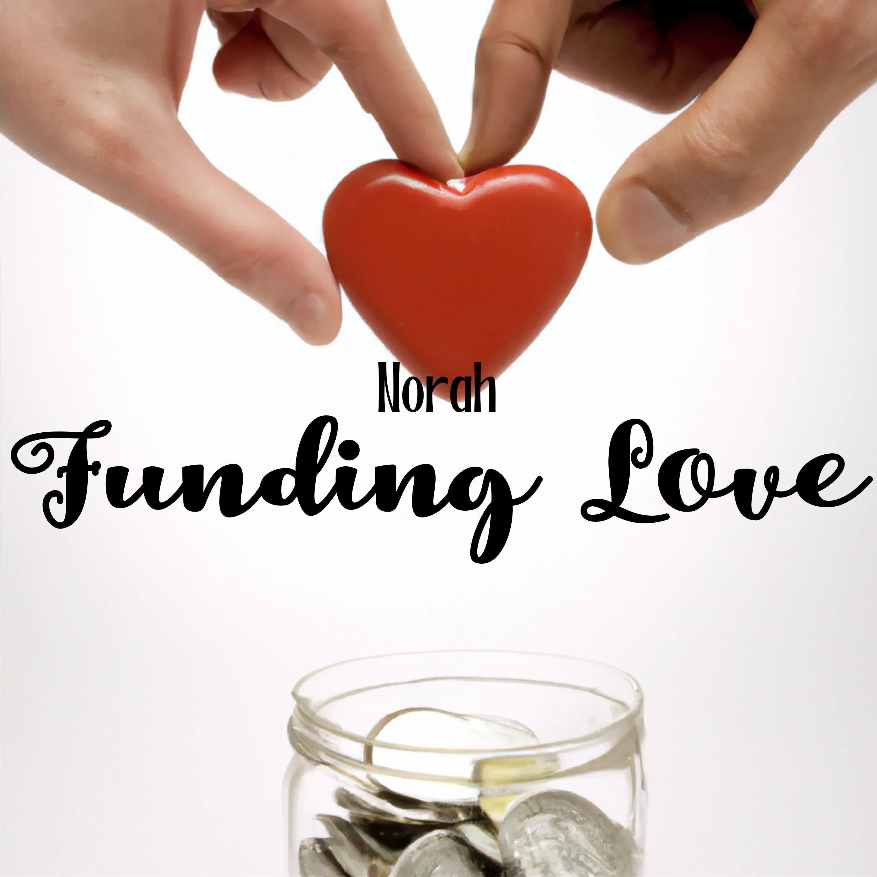 Постер альбома Funding Love