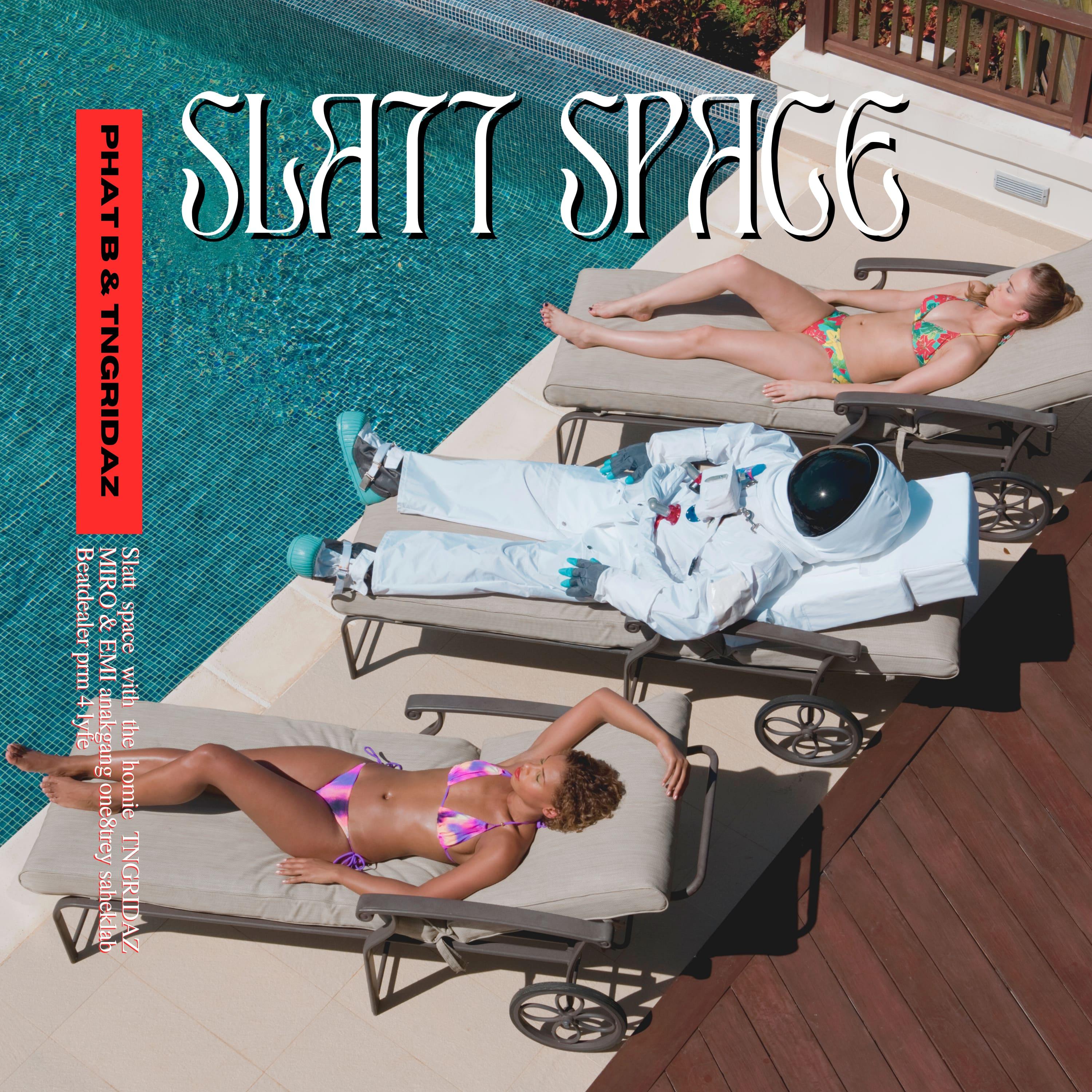 Постер альбома Slatt Space