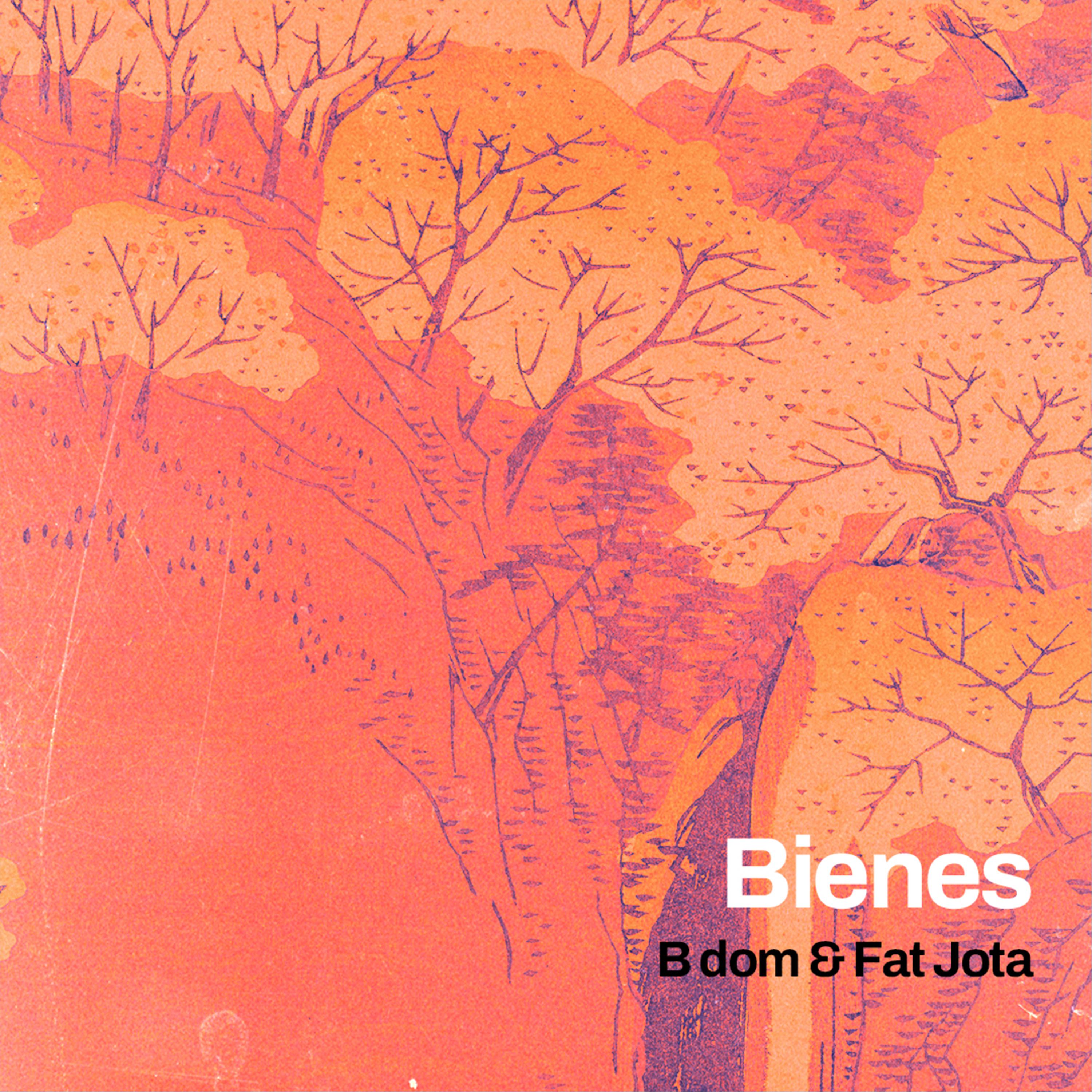 Постер альбома Bienes