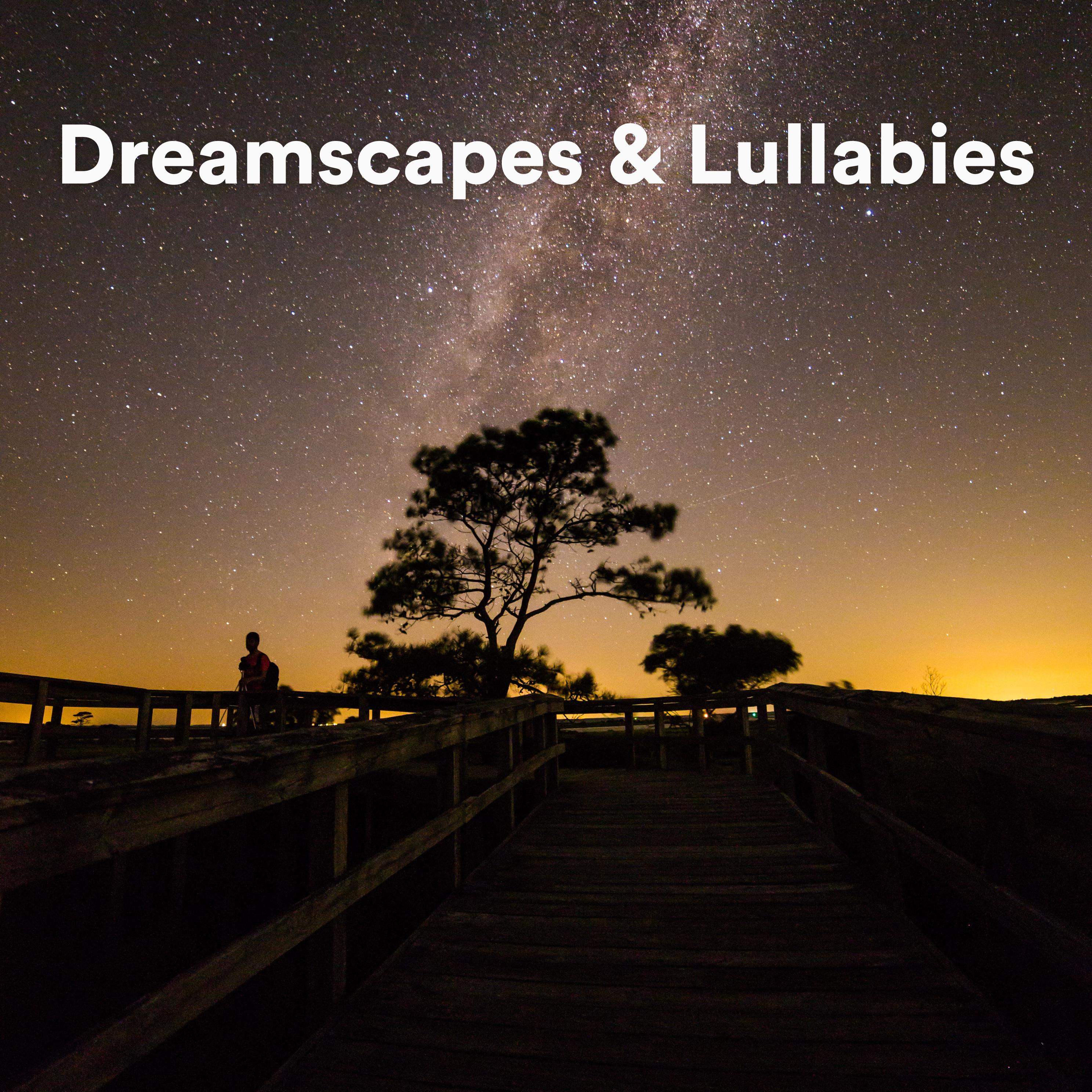 Постер альбома Dreamscapes & Lullabies