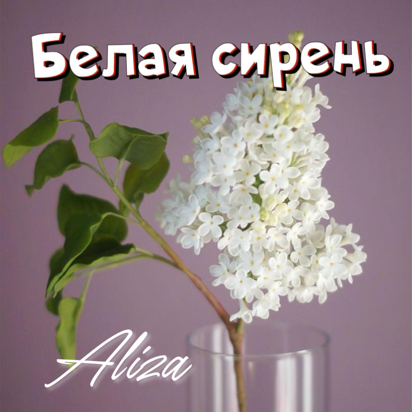 Постер альбома Белая сирень