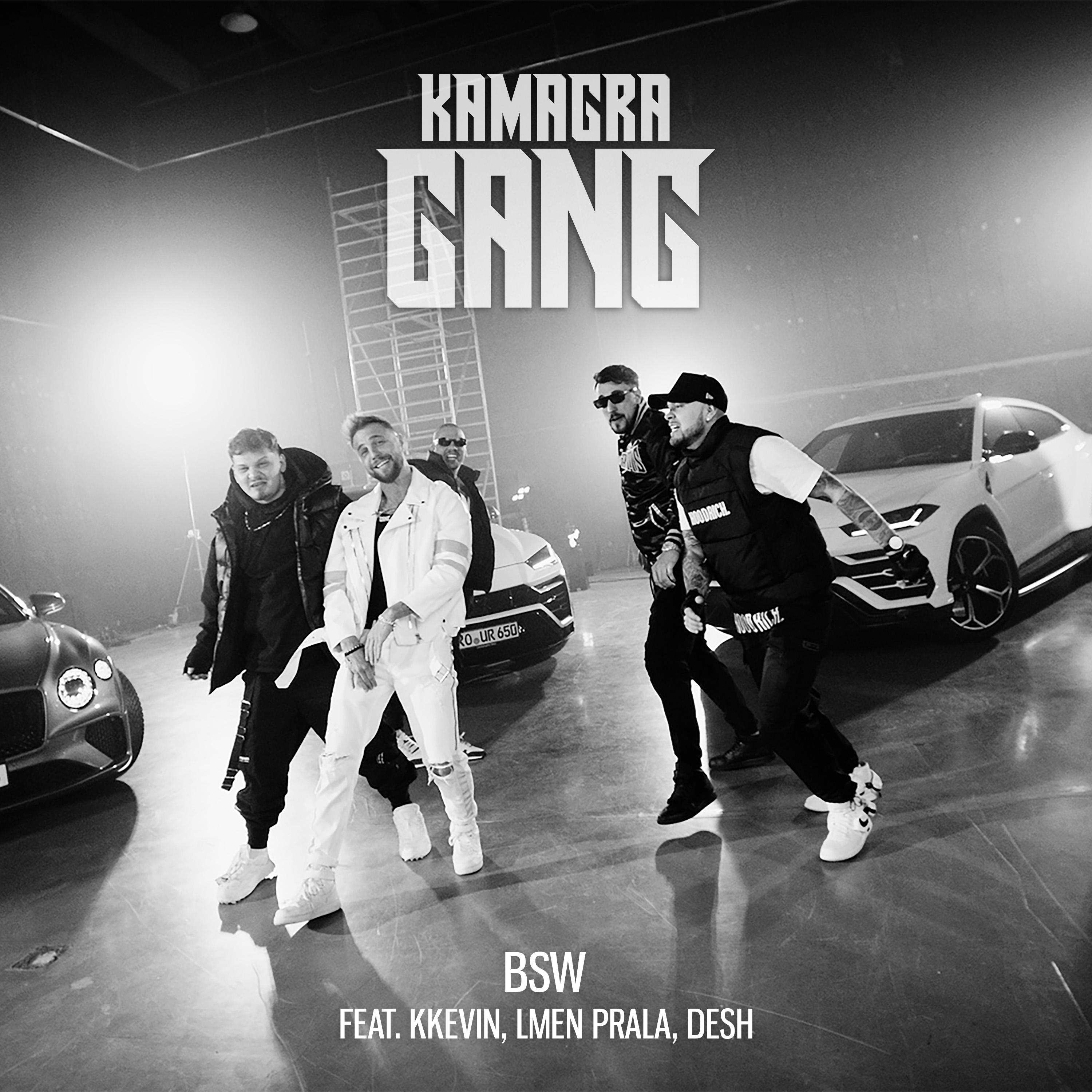 Постер альбома Kamagra Gang