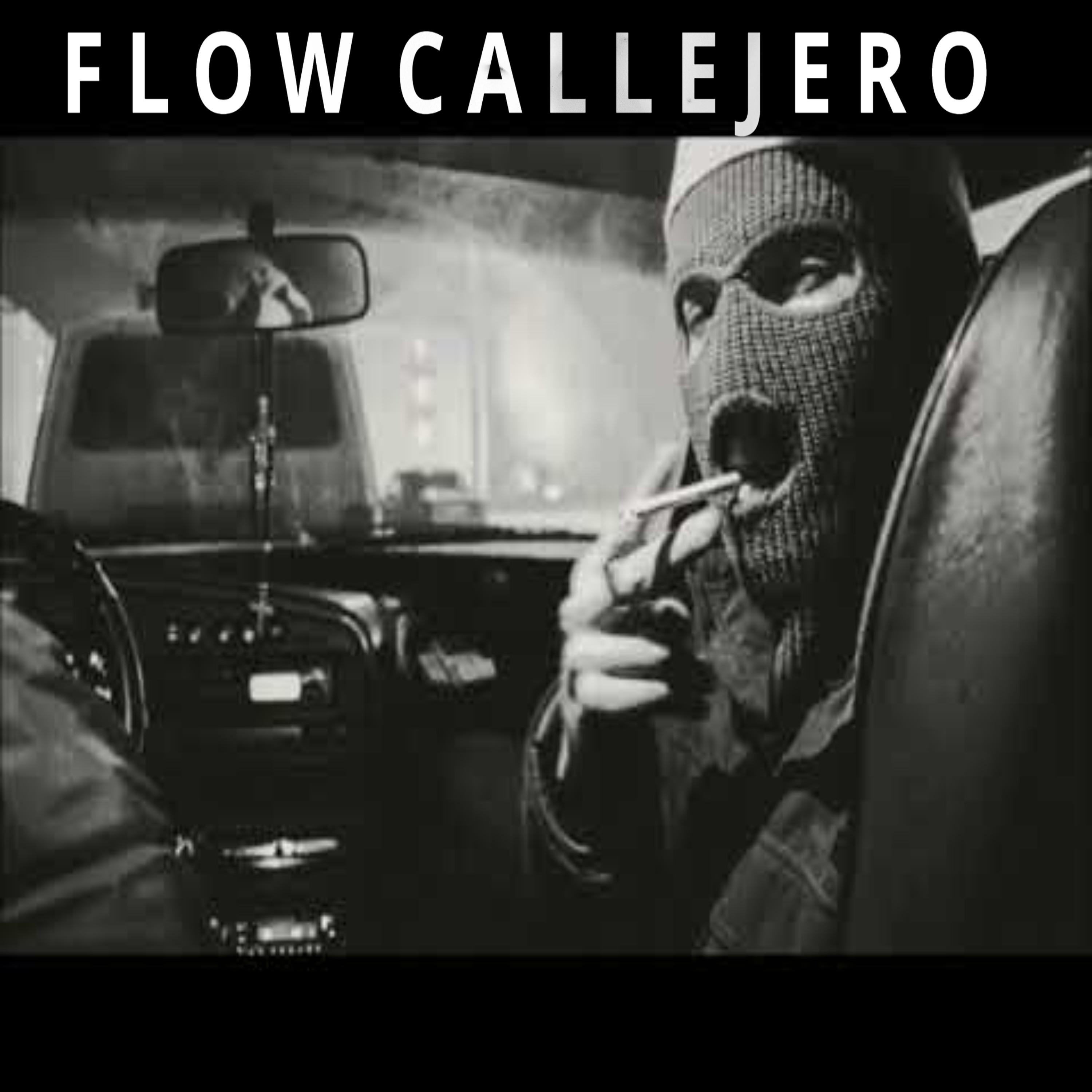 Постер альбома Flow Callejero