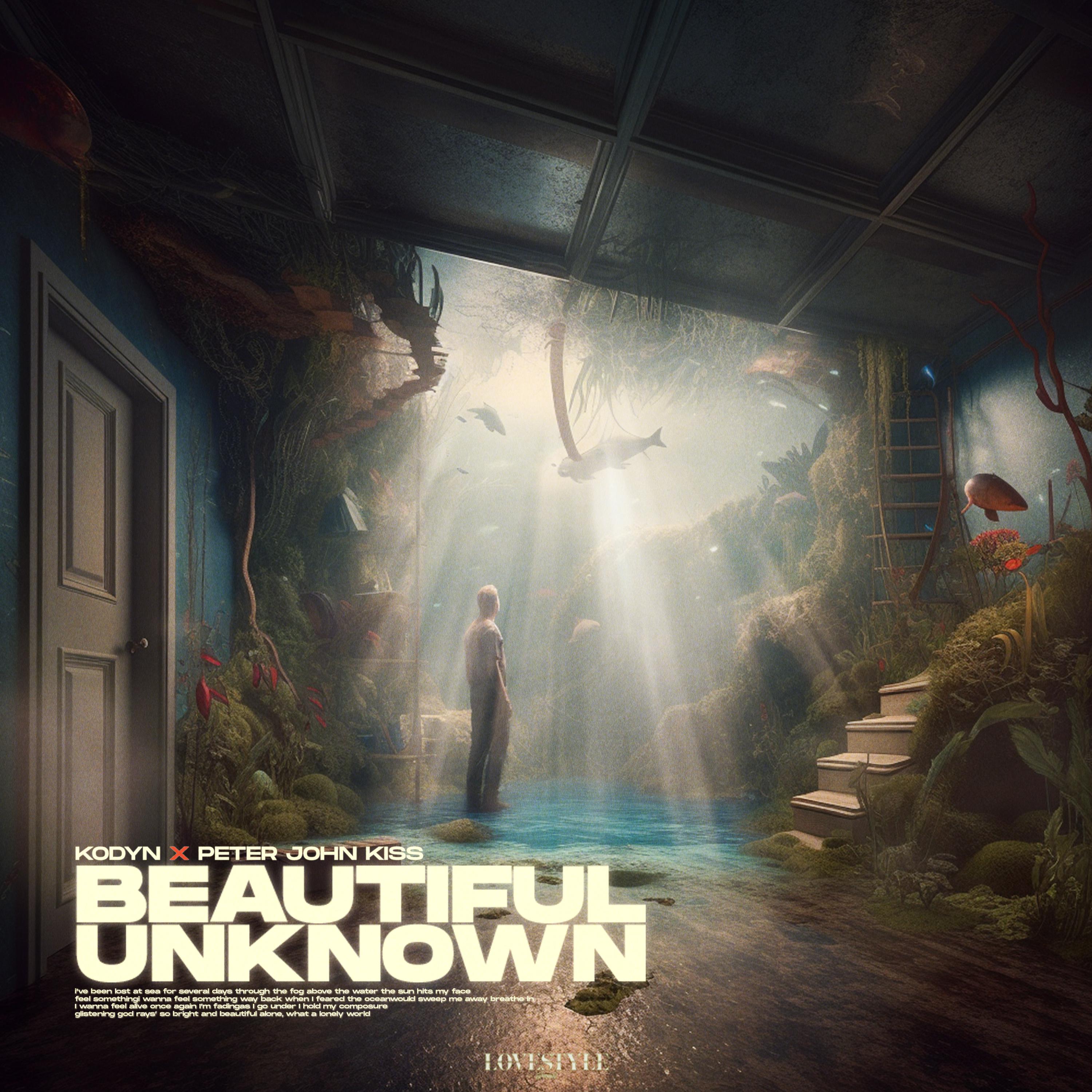 Постер альбома Beautiful Unknown
