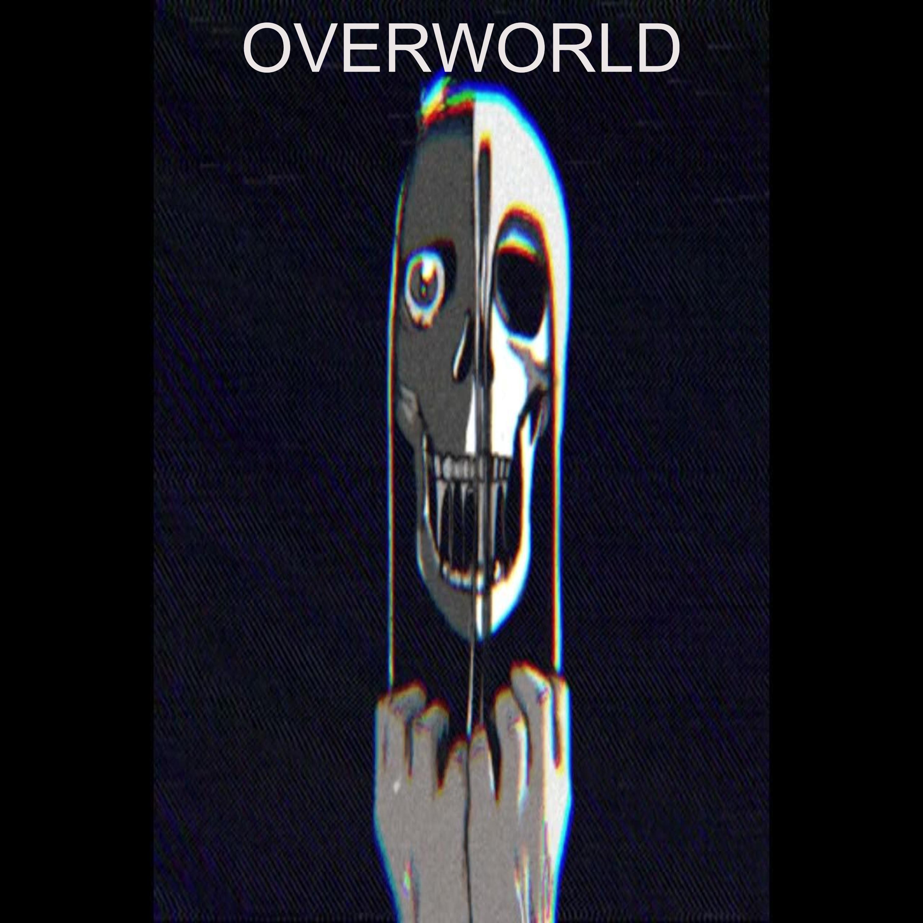 Постер альбома Overworld
