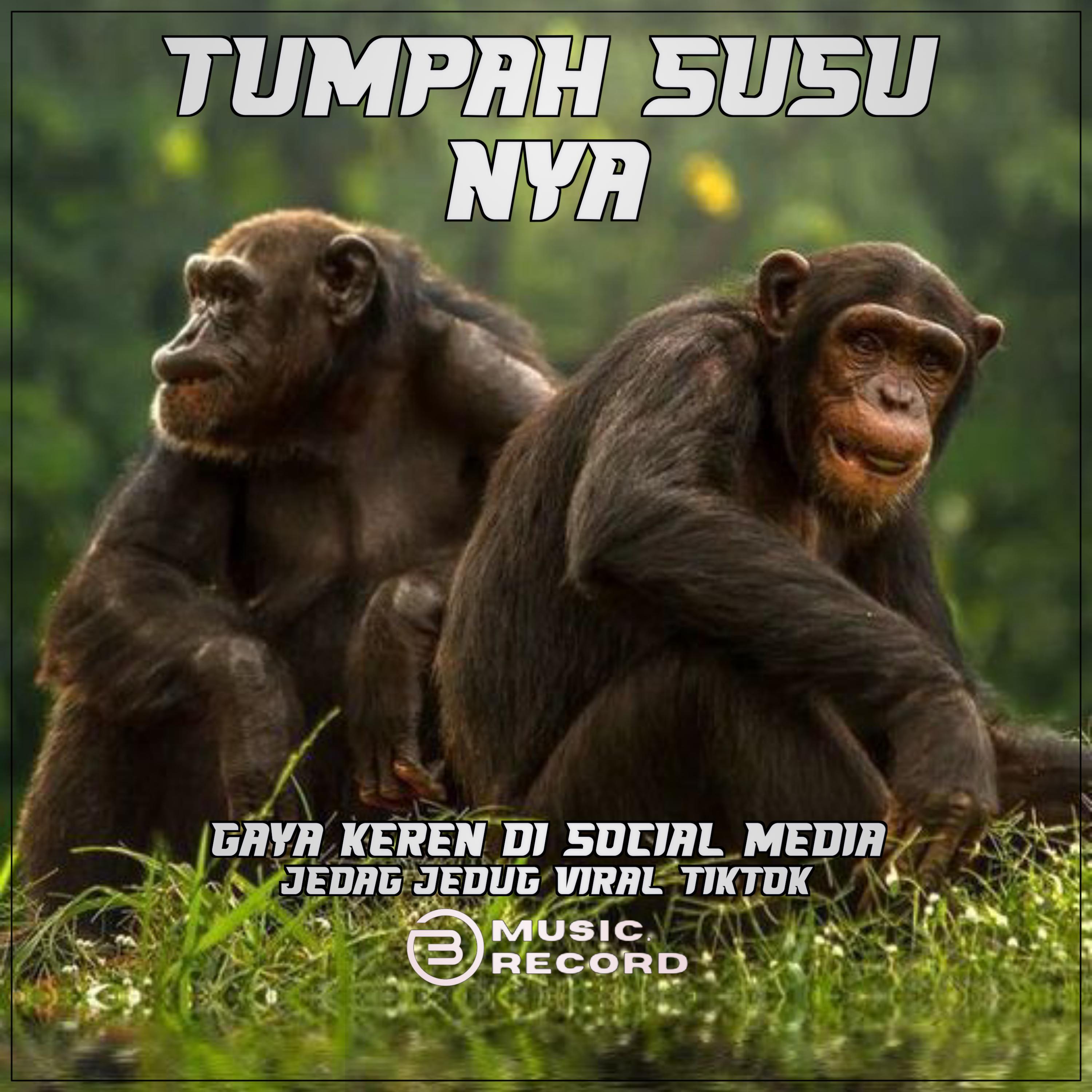 Постер альбома DJ TUMPAH SUSU NYA X GAYA KEREN DI SOCIAL MEDIA JEDAG JEDUG TIKTOK VIRAL