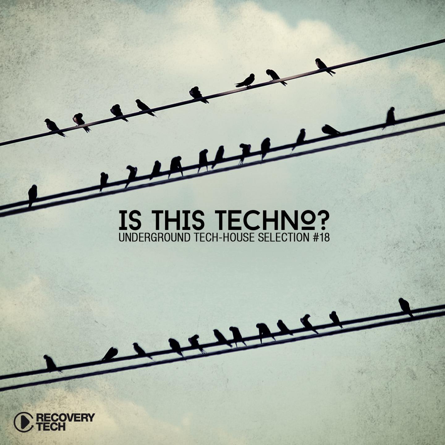 Постер альбома Is This Techno? Vol. 18
