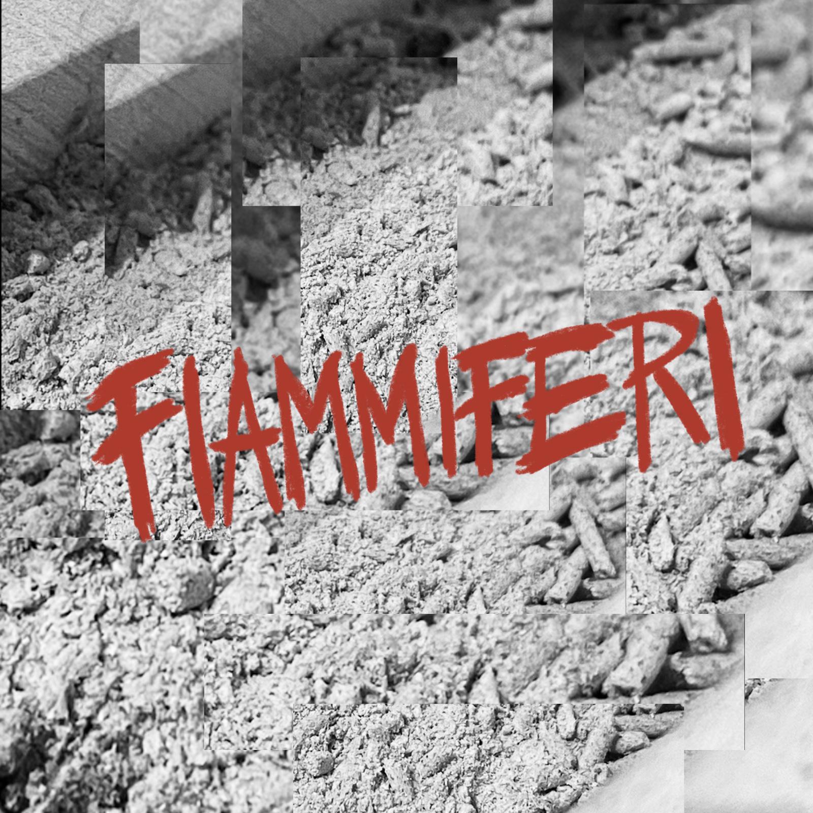 Постер альбома fiammiferi