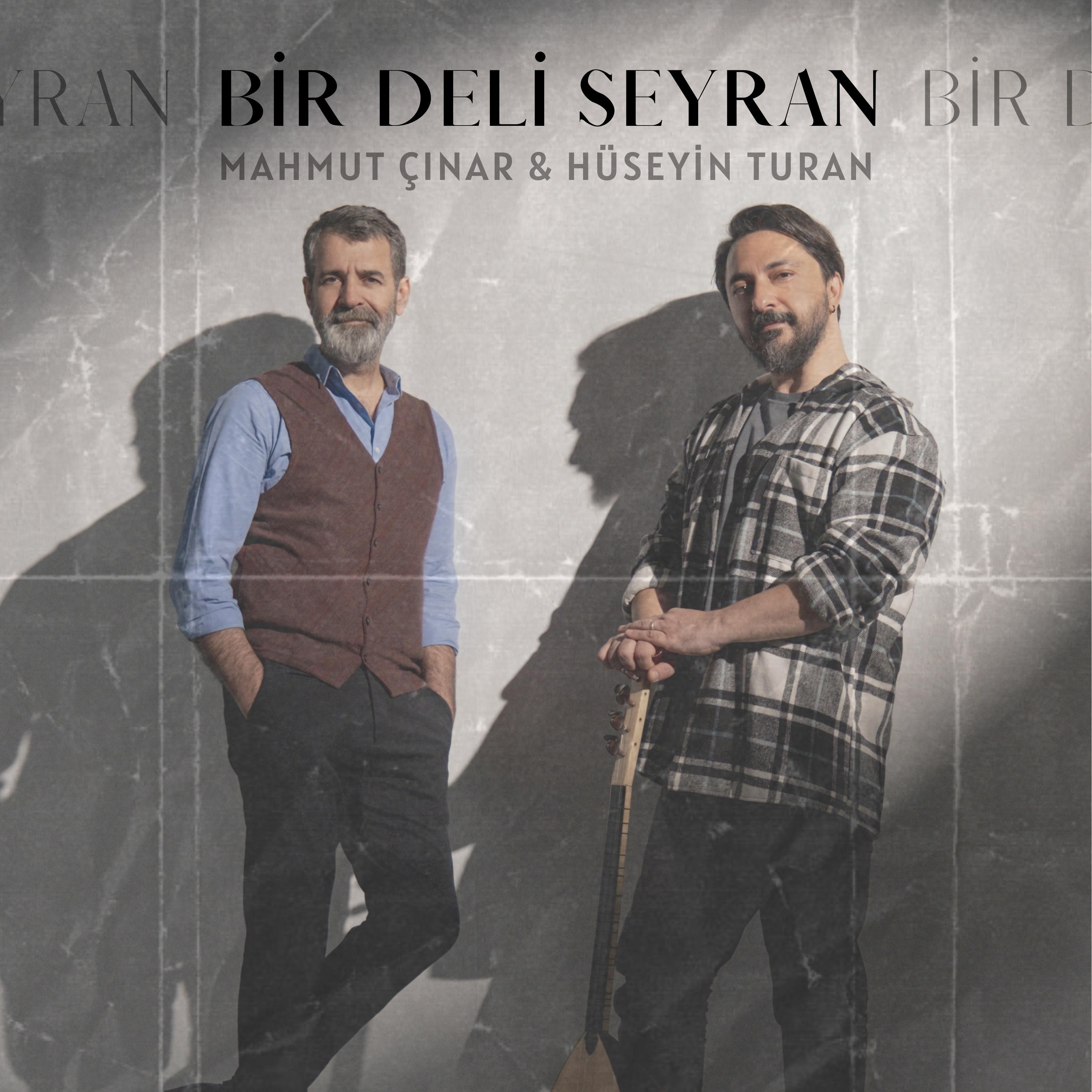 Постер альбома Bir Deli Seyran