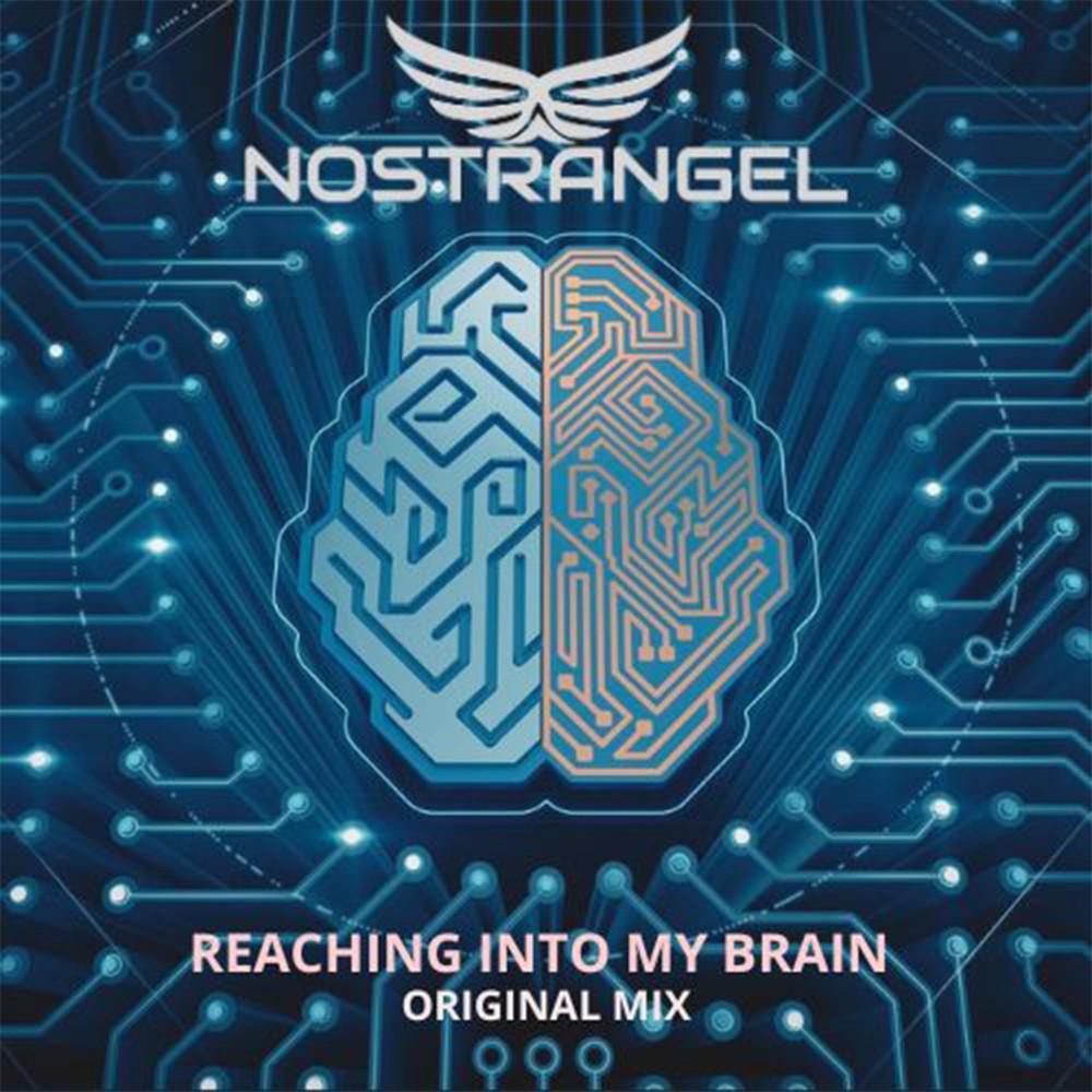 Постер альбома Reaching into My Brain (Original Mix)