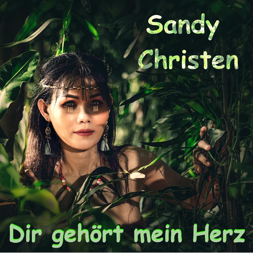 Постер альбома Dir gehört mein Herz