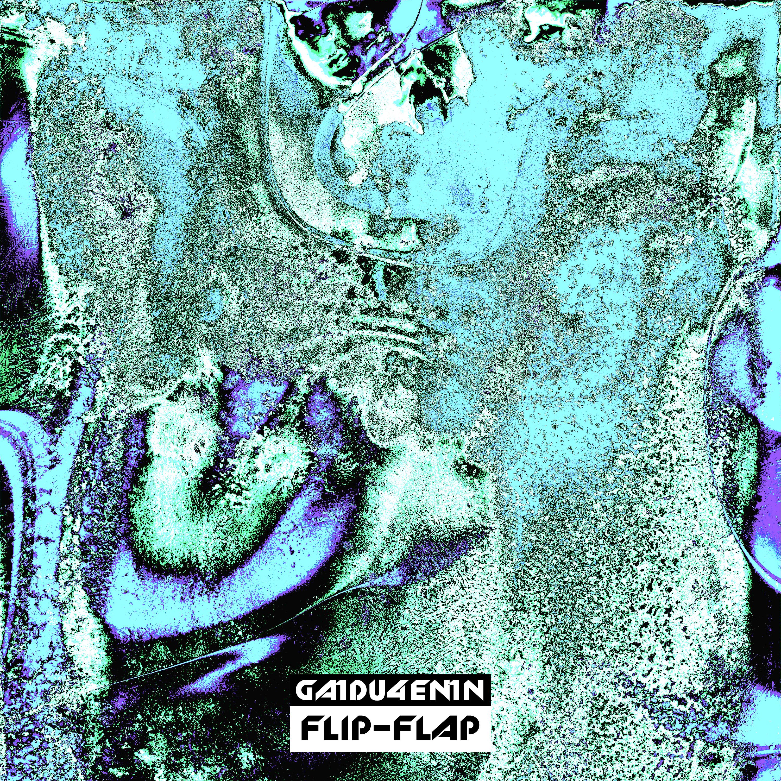 Постер альбома Flip-Flap