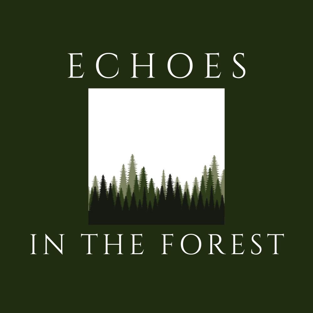Постер альбома Echoes in the Forest