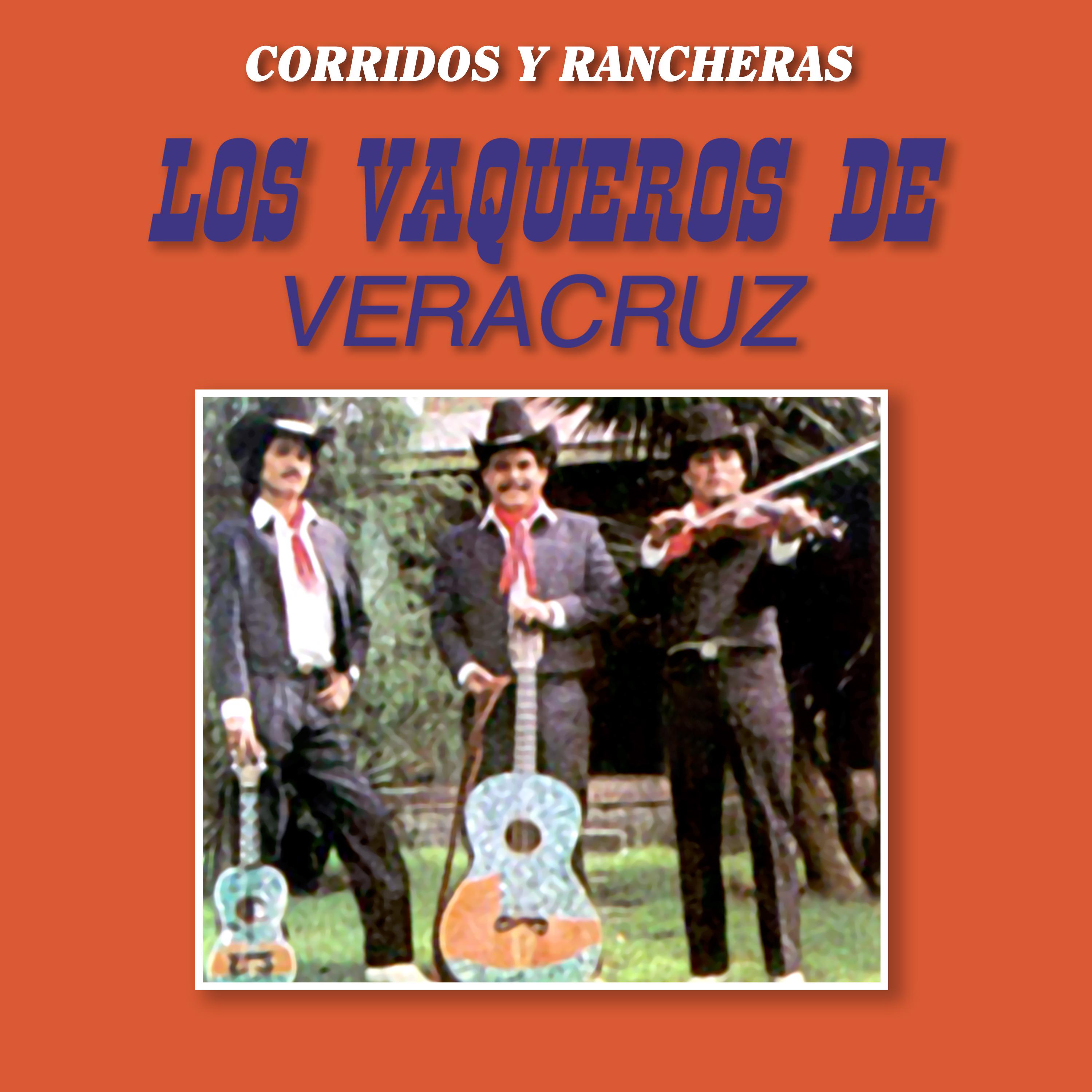 Постер альбома 15 Corridos y Rancheras
