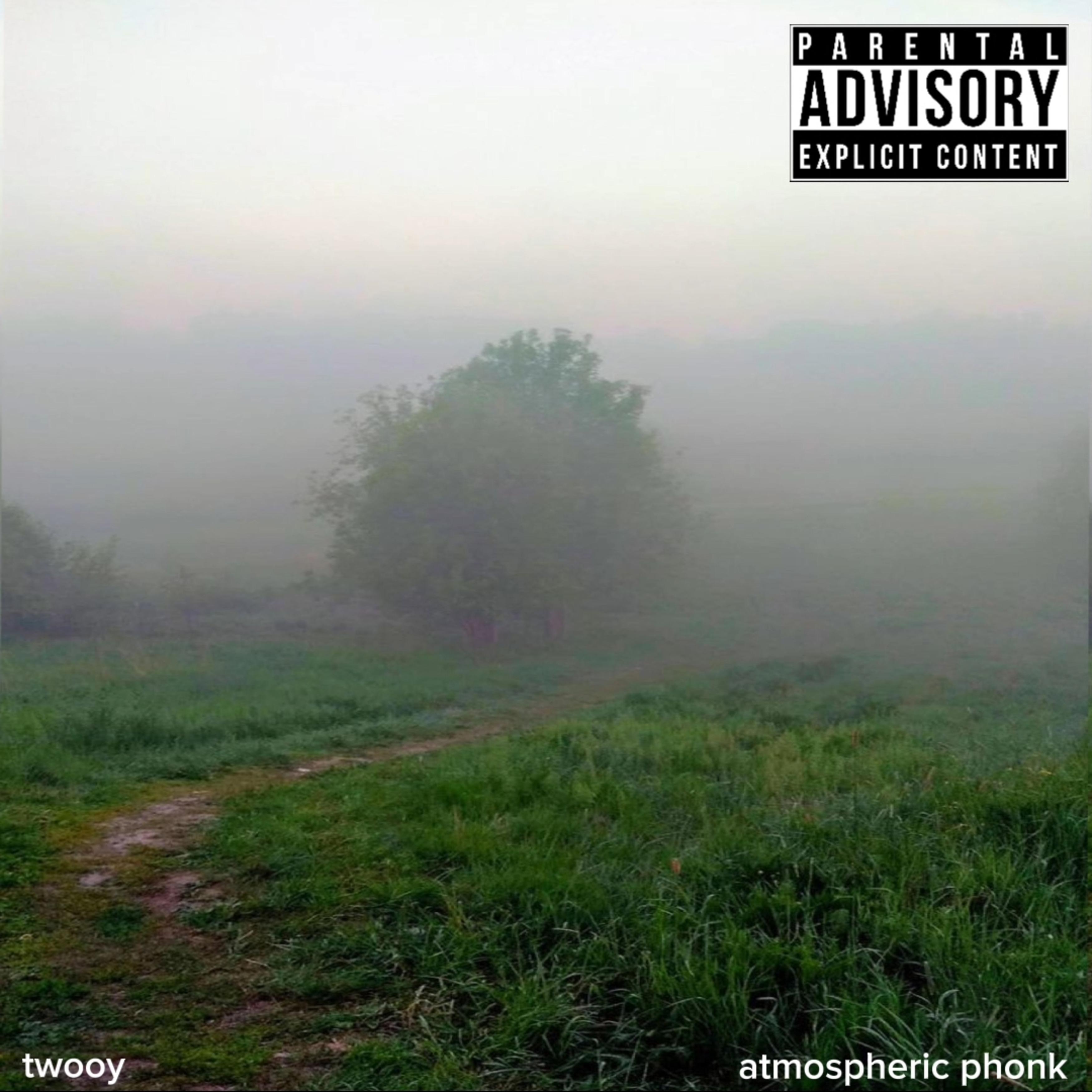 Постер альбома Atmospheric Phonk