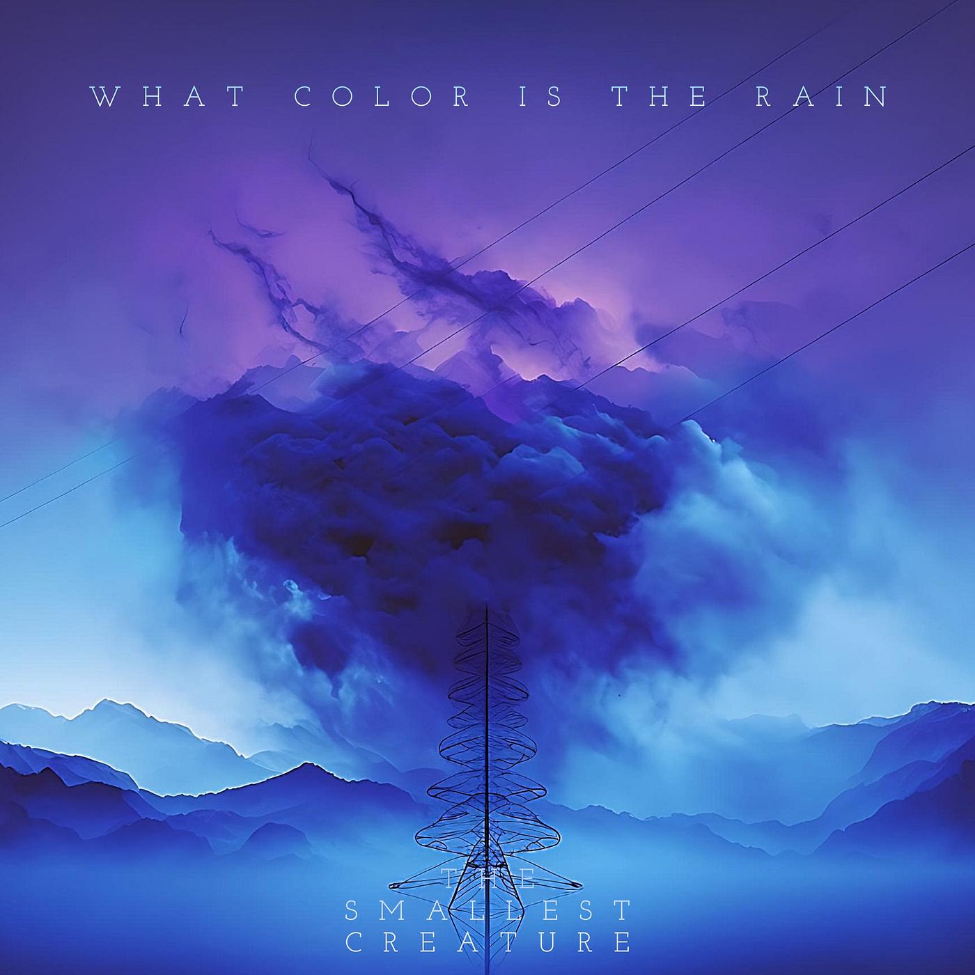 Постер альбома What Color Is the Rain