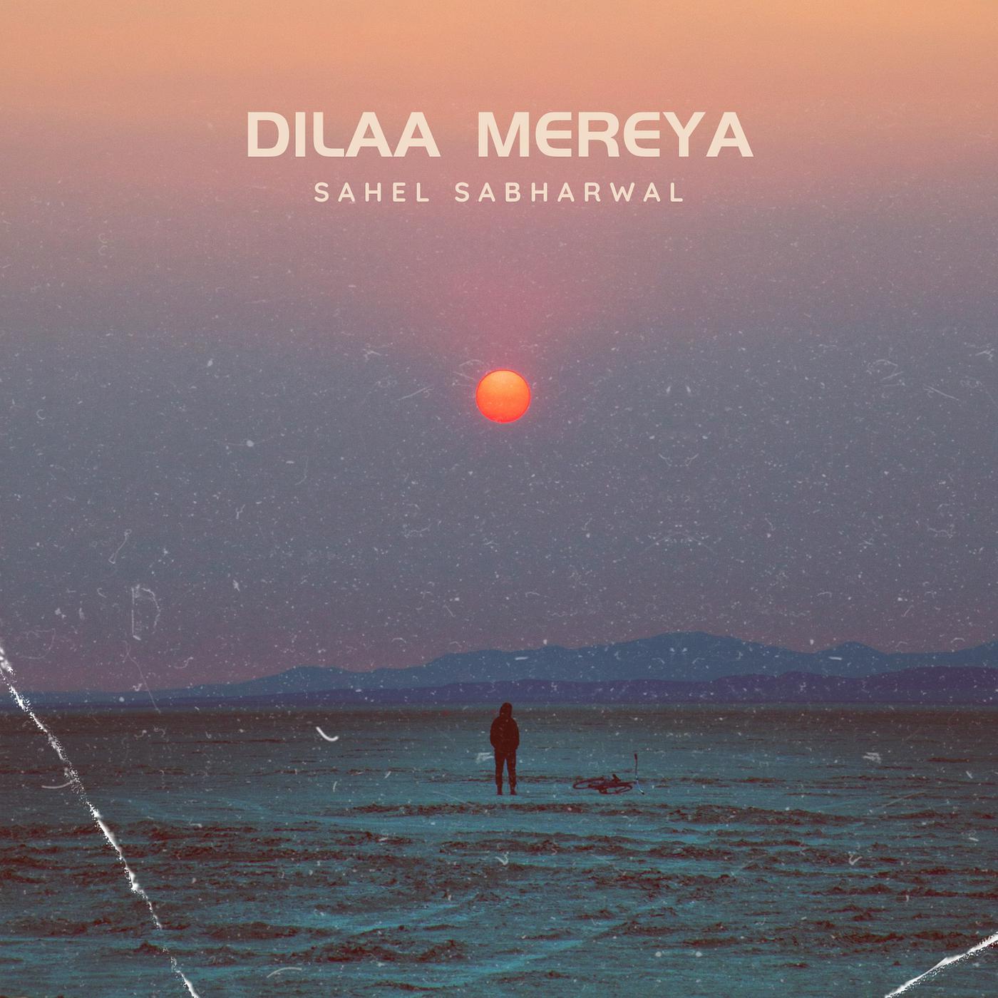 Постер альбома Dilaa Mereya