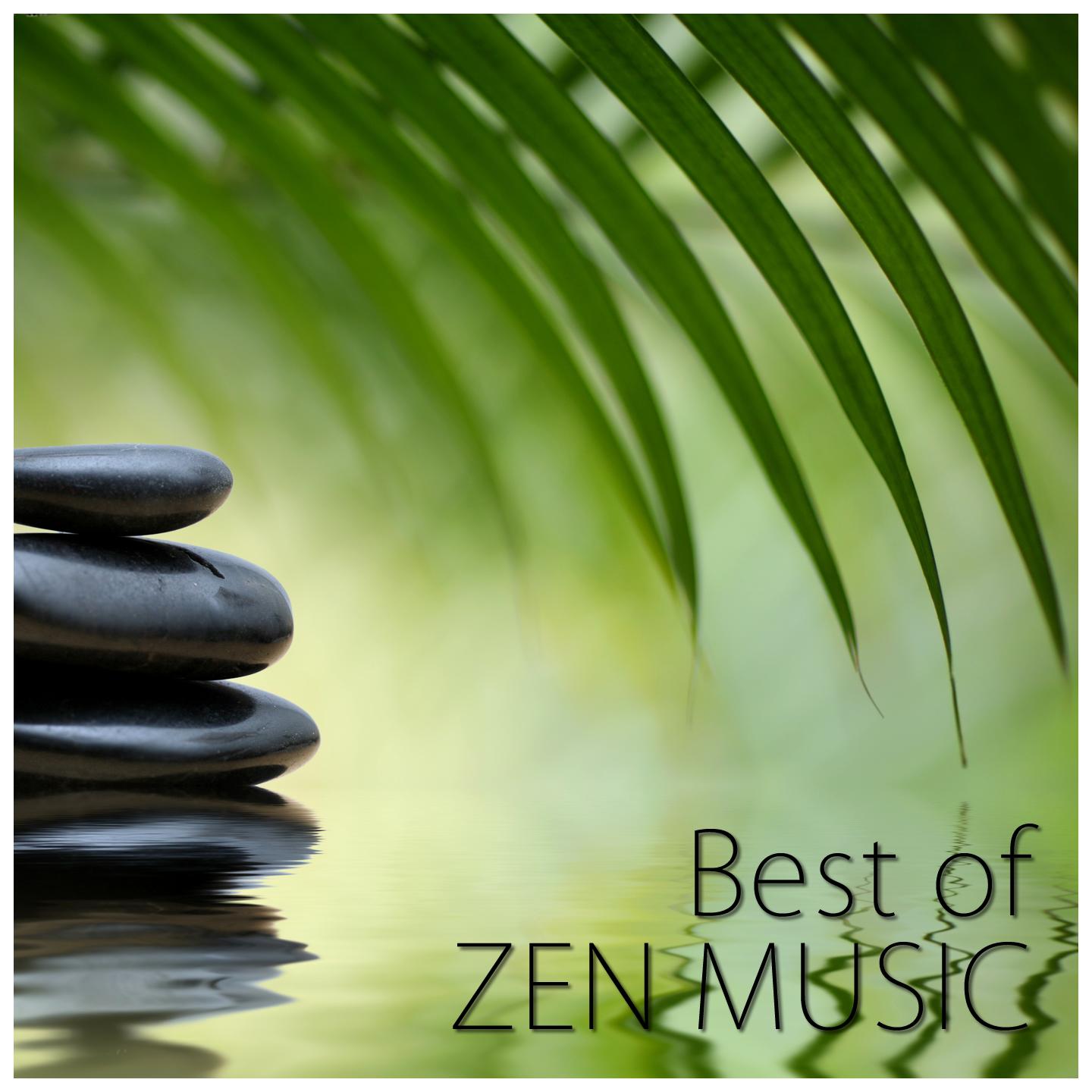 Постер альбома Best of Zen Music