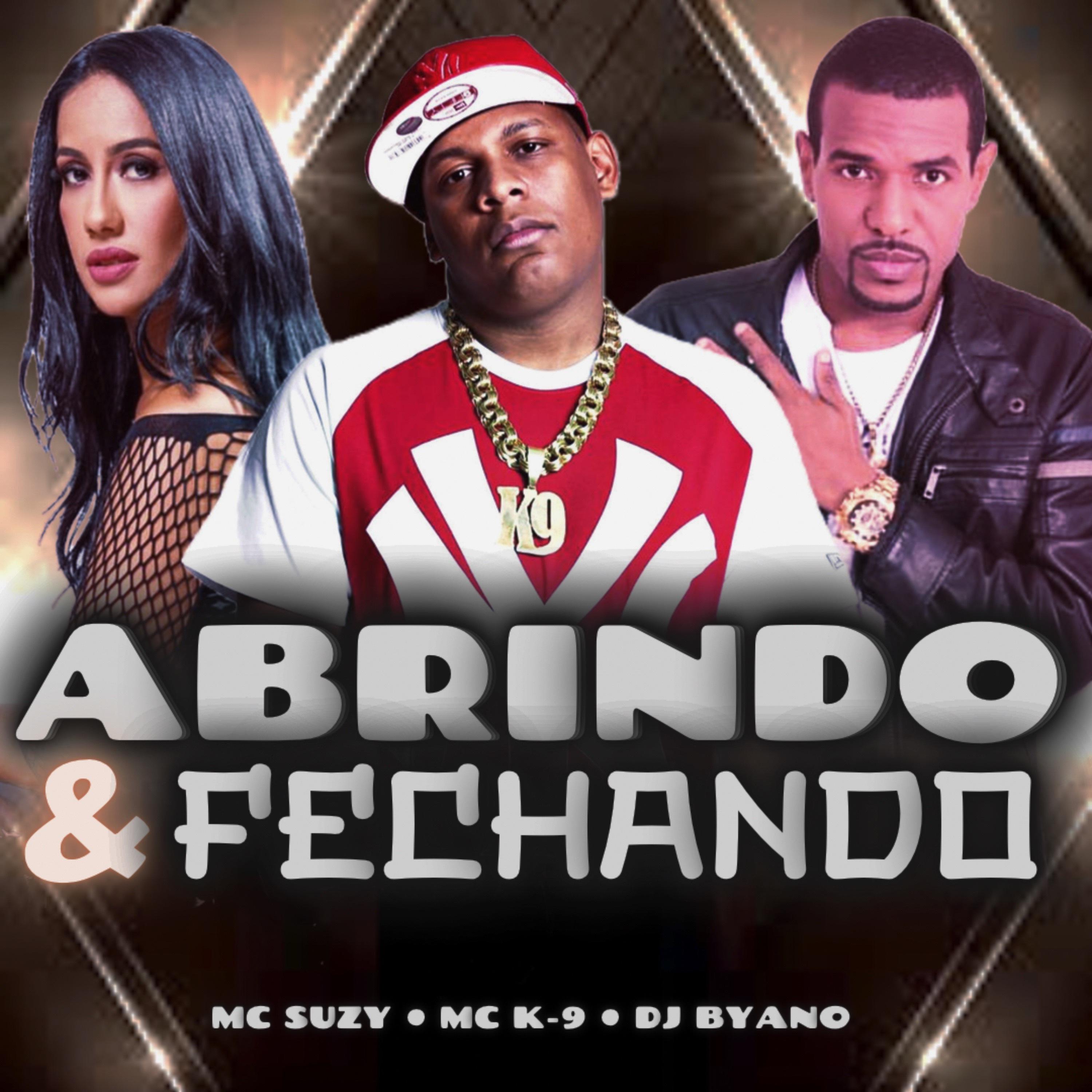 Постер альбома Abrindo & Fechando