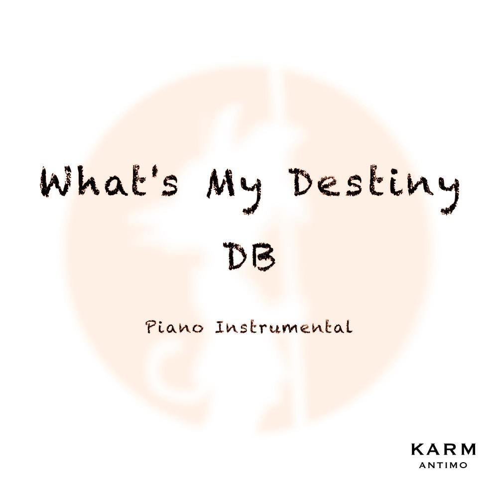 Постер альбома What's My Destiny Db (Piano Instrumental)