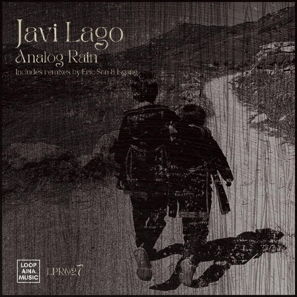 Постер альбома Analog Rain (Includes Remixes by Eric Sän & Isgang.)