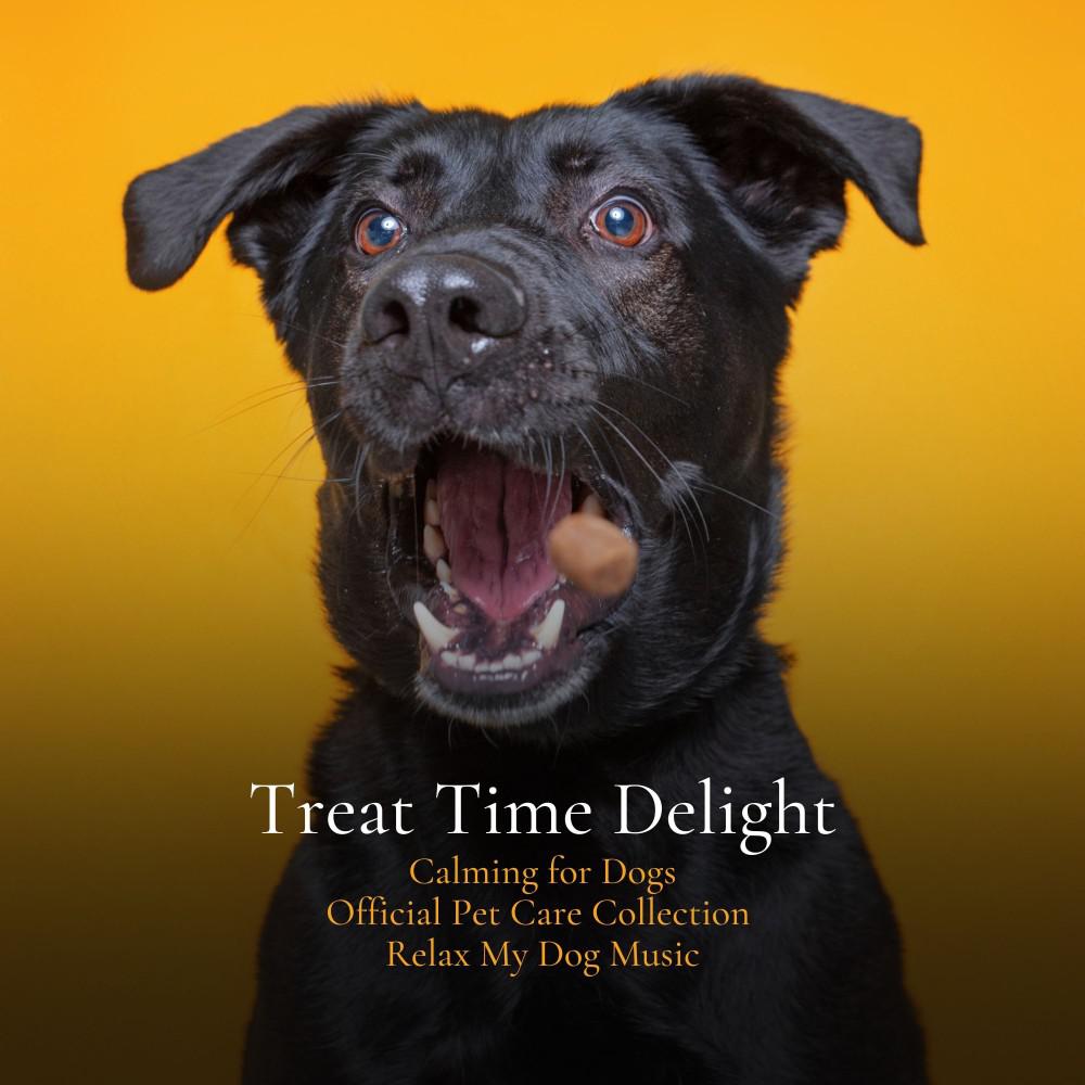 Постер альбома Treat Time Delight