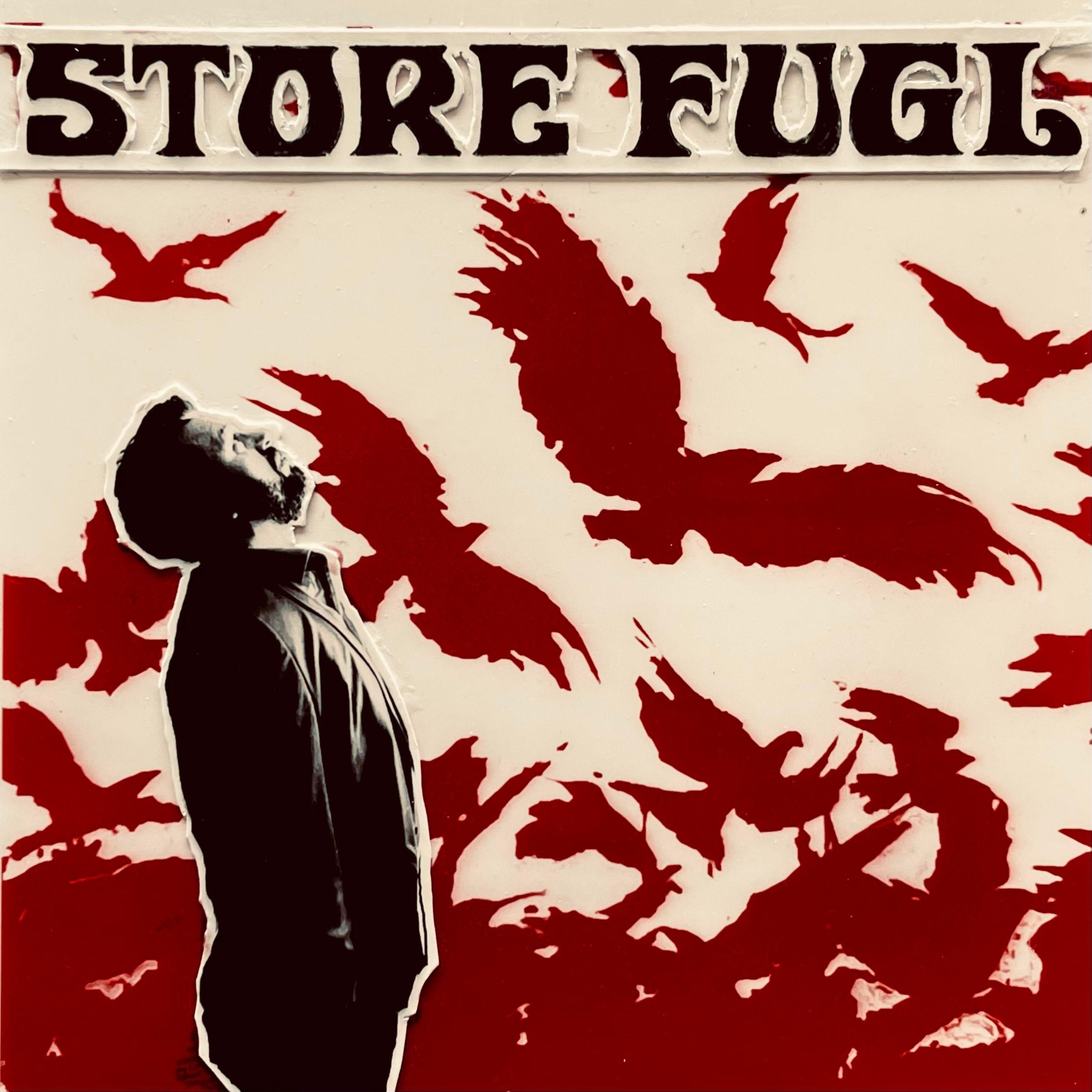 Постер альбома Store Fugl