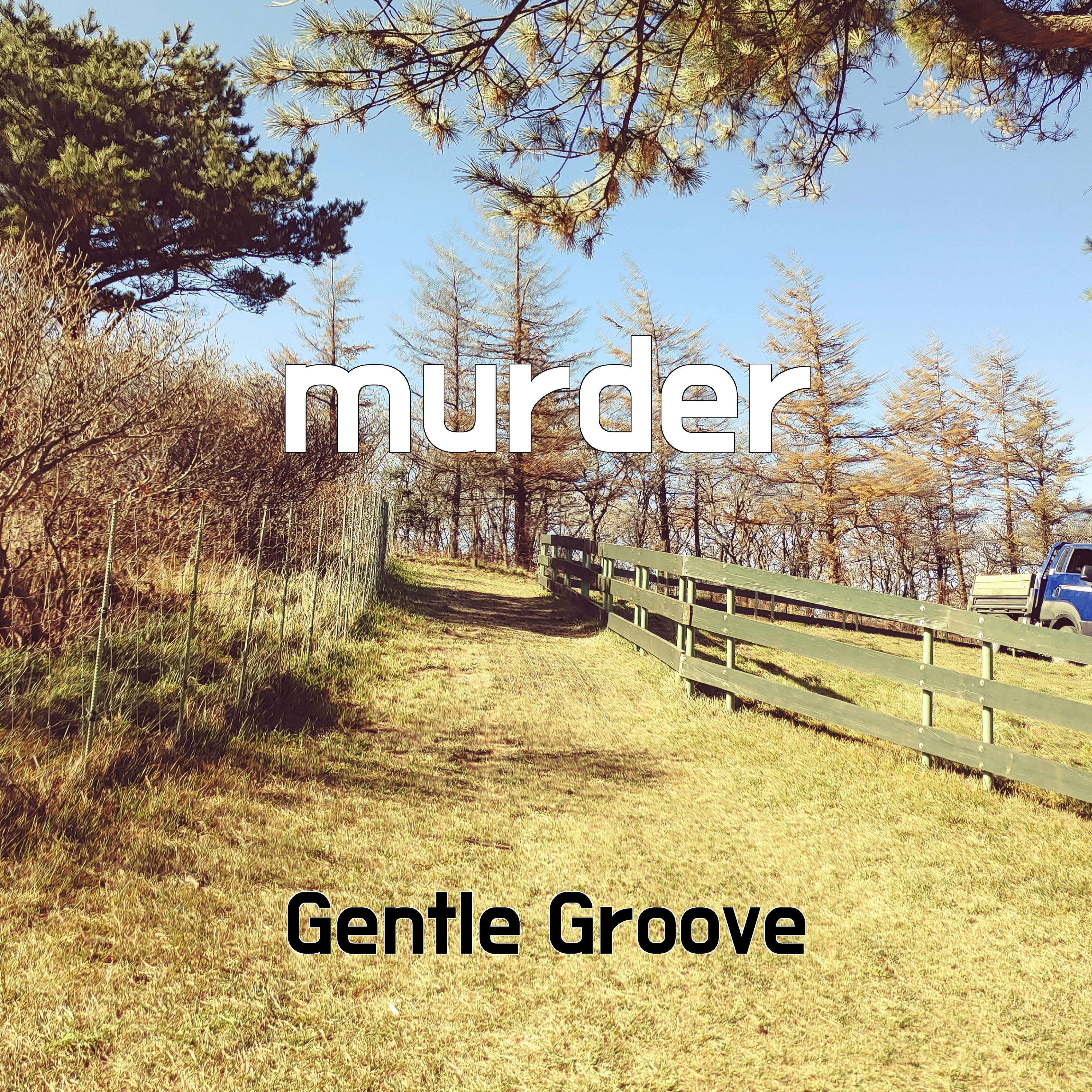 Постер альбома murder