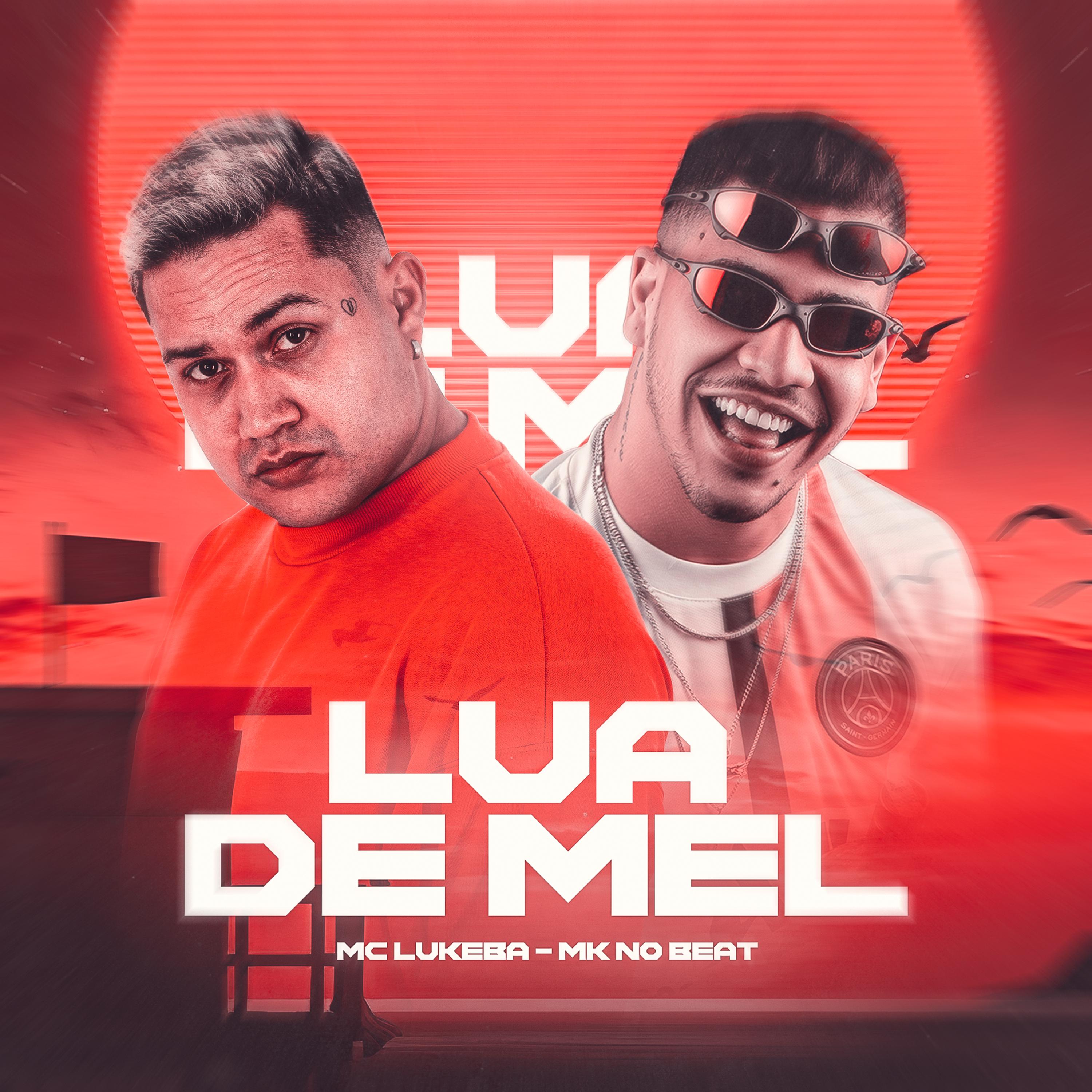 Постер альбома Lua de Mel