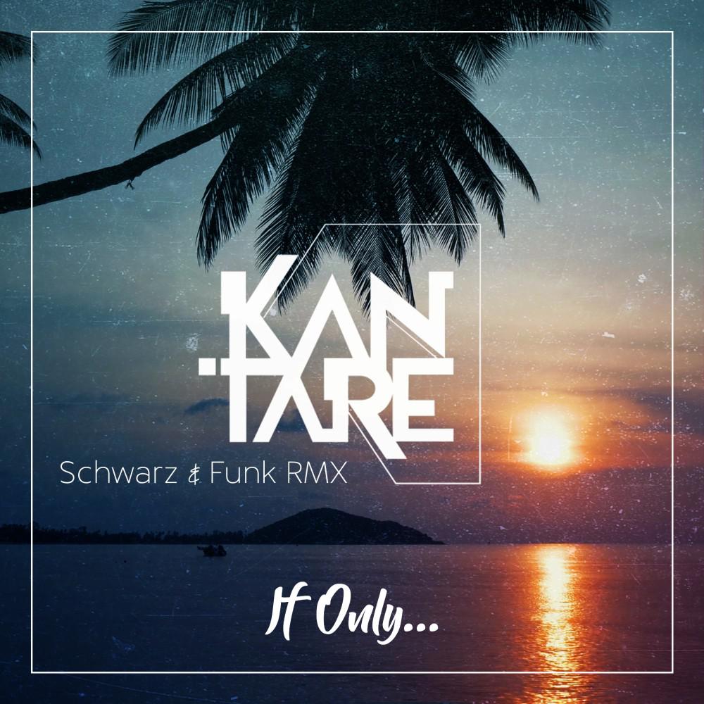 Постер альбома If Only (Schwarz & Funk Remix)