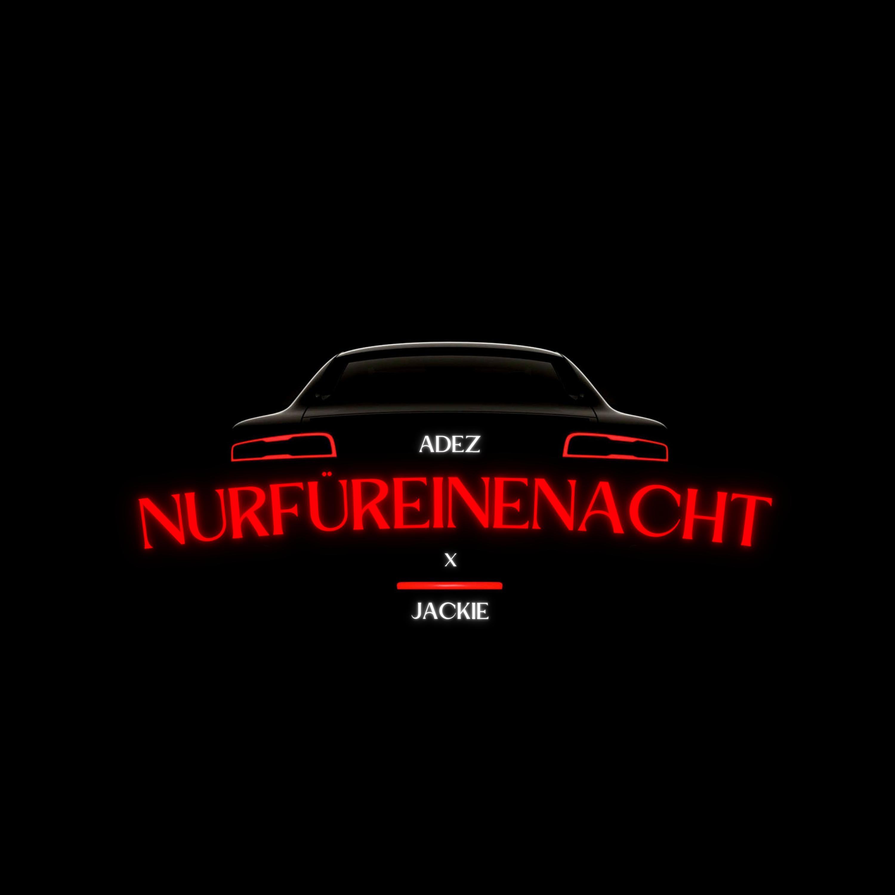 Постер альбома NURFÜREINENACHT