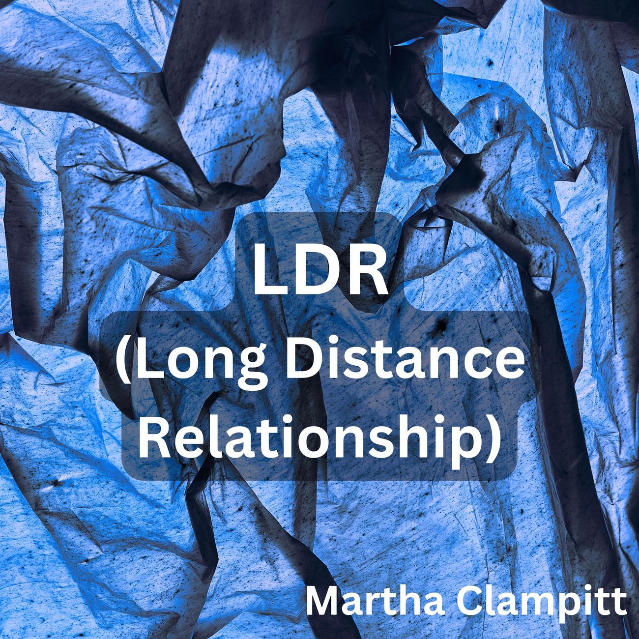 Постер альбома LDR (Long Distance Relationship)