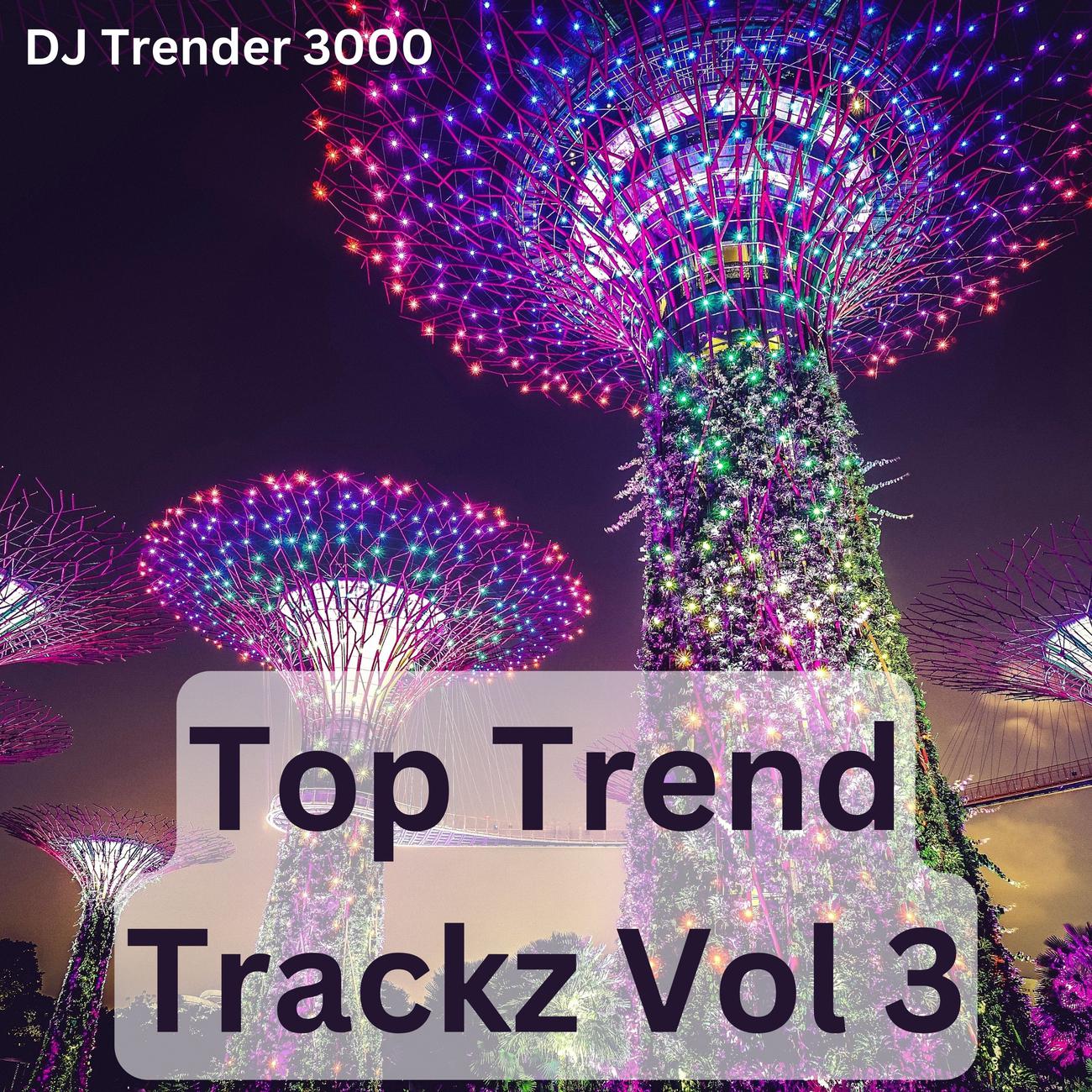 Постер альбома Top Trend Trackz Vol 3