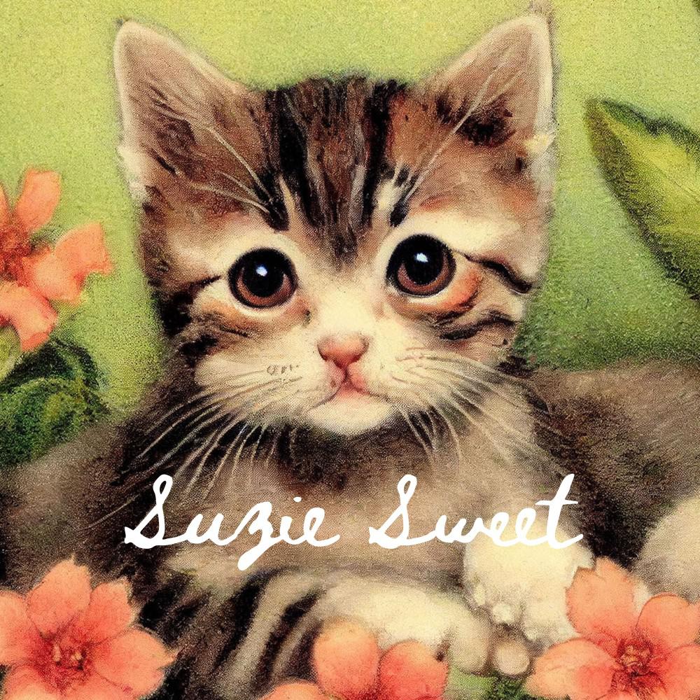 Постер альбома Suzie Sweet