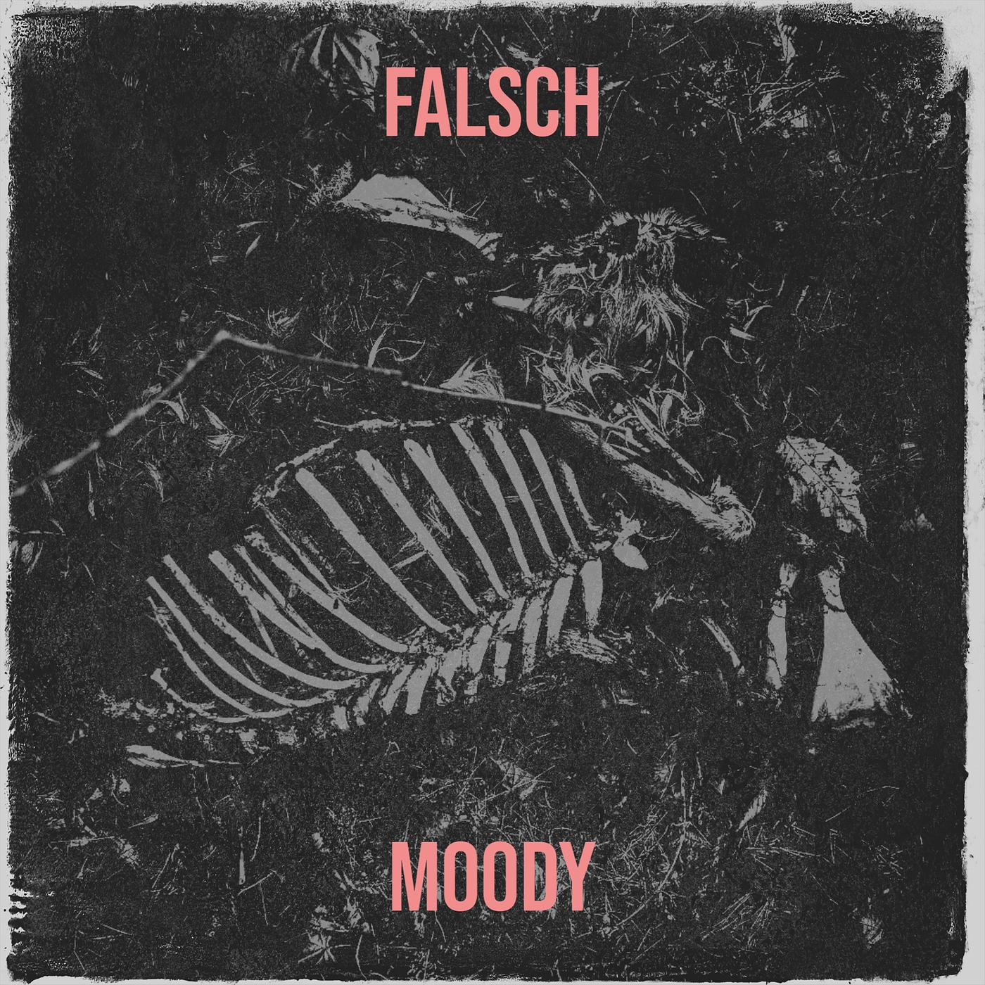 Постер альбома Falsch