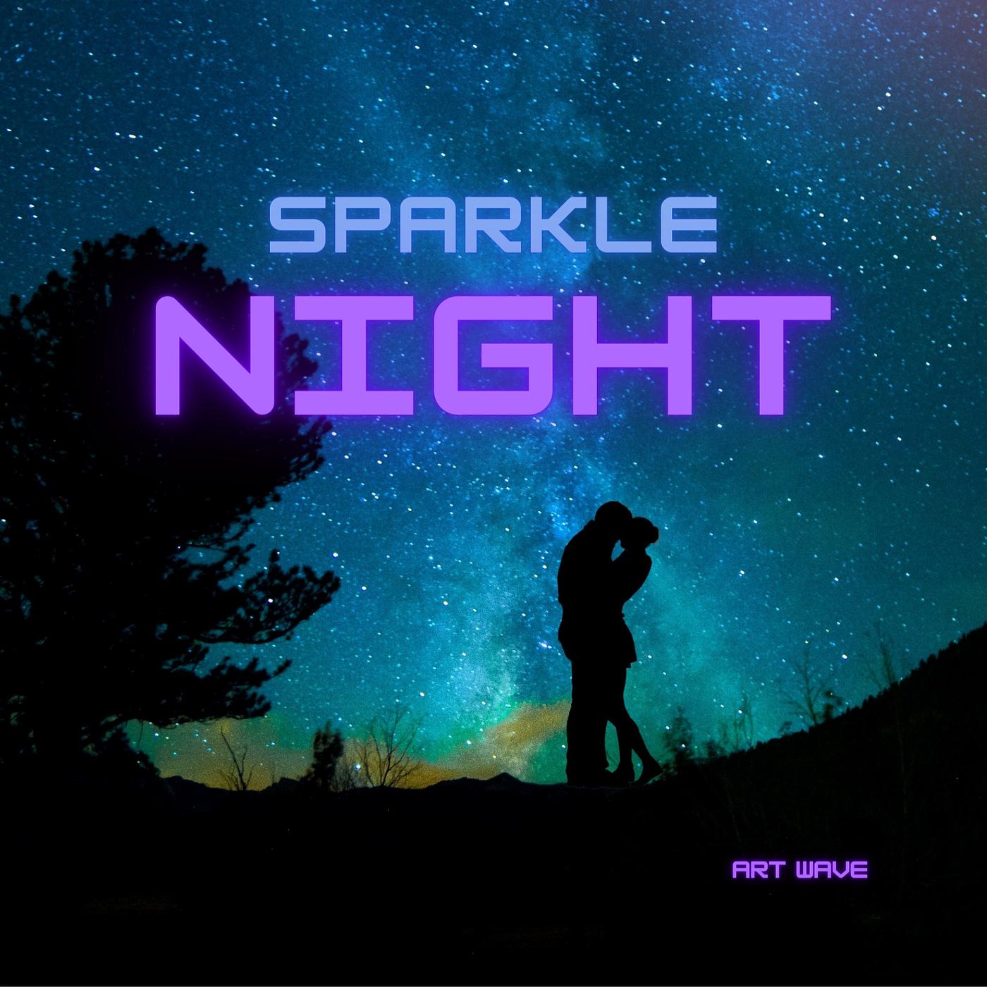 Постер альбома Sparkle Night