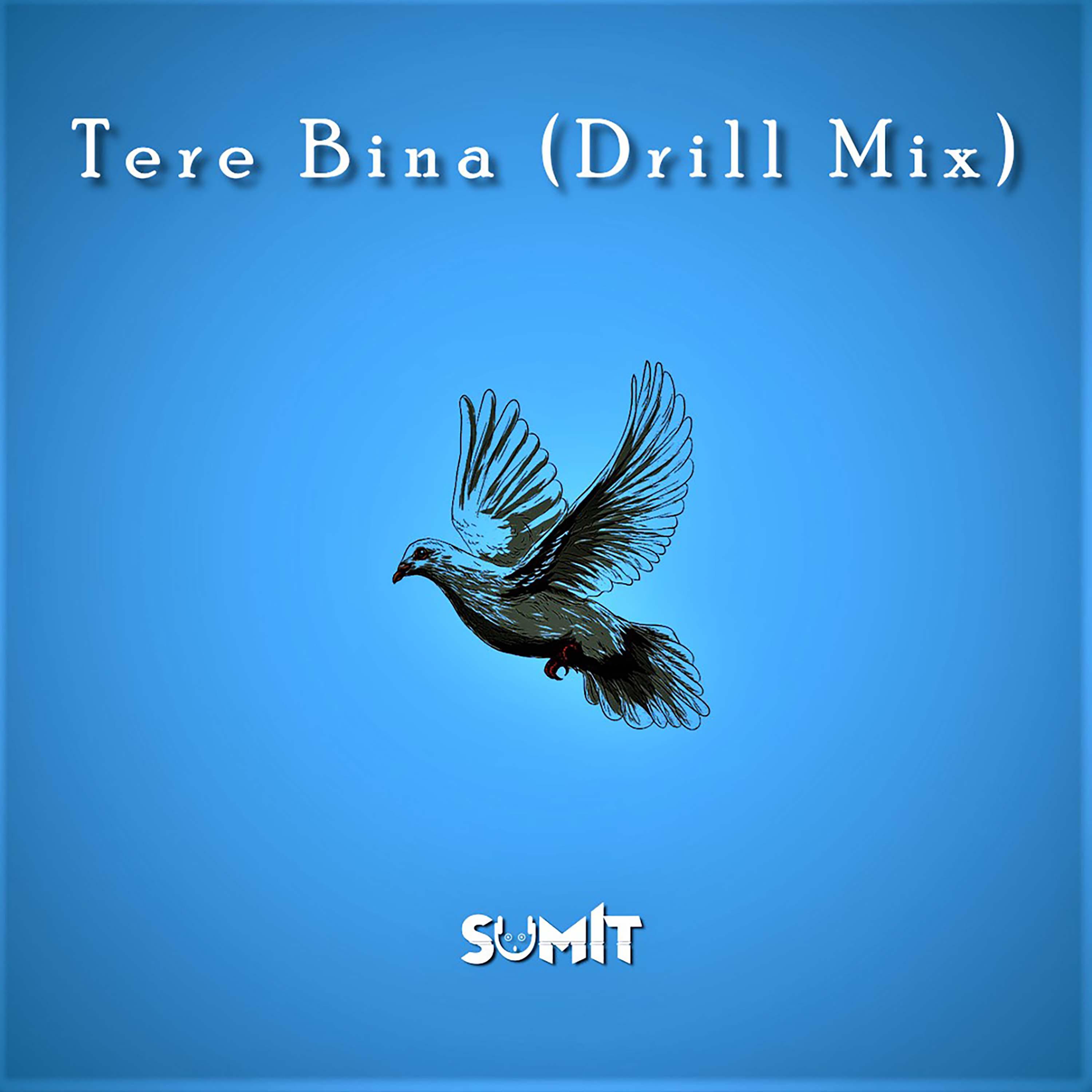 Постер альбома Tere Bina (Drill Mix)