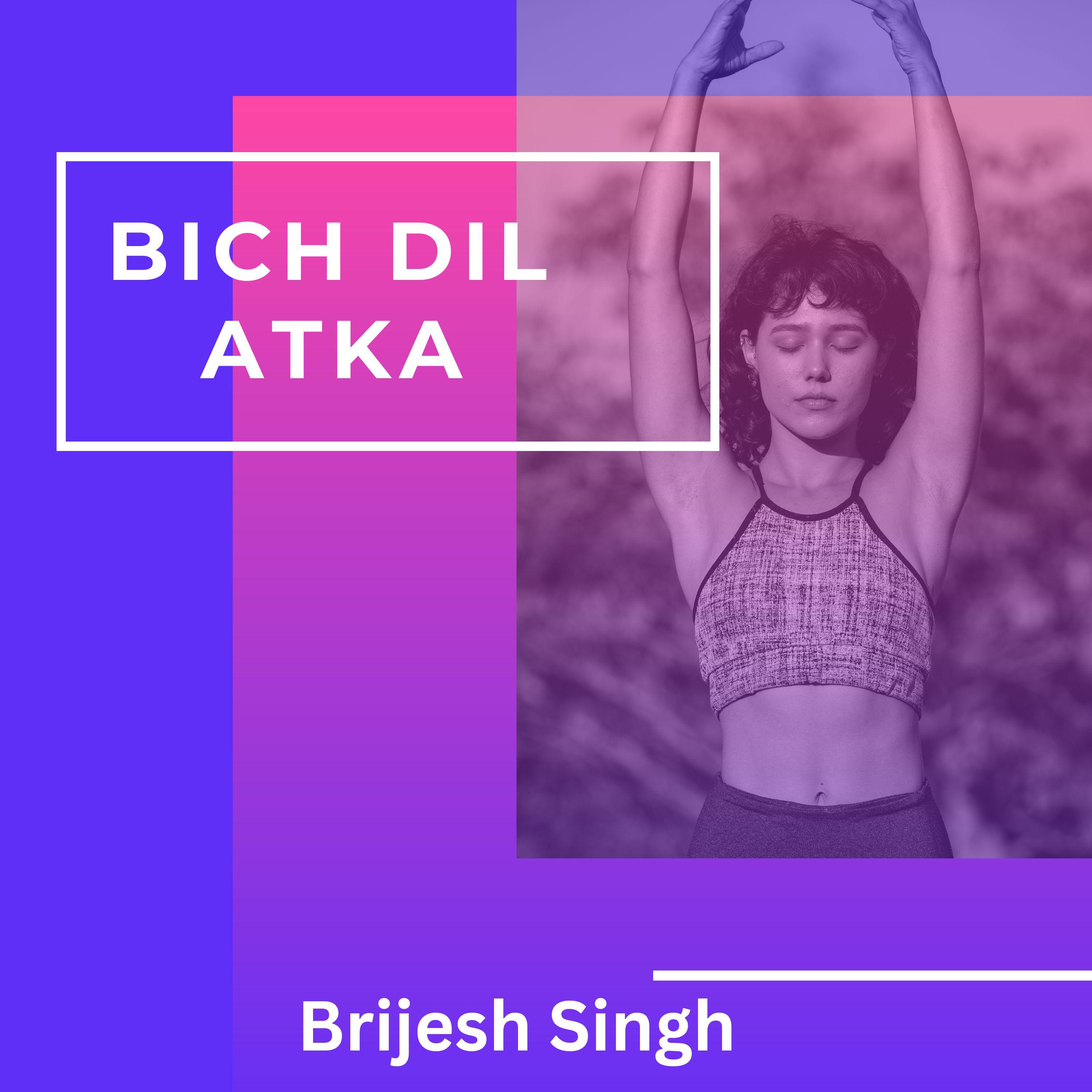 Постер альбома Bich Dil Atka