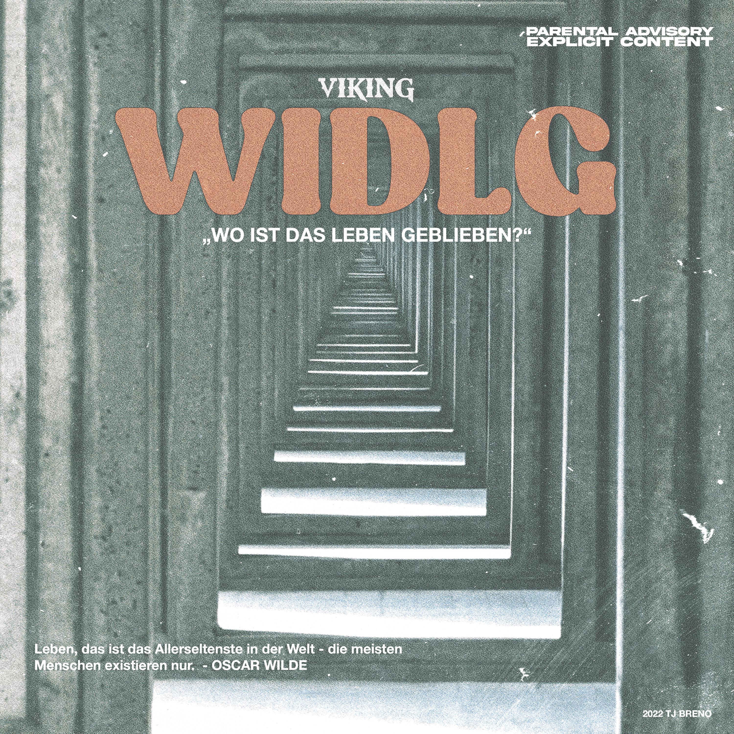 Постер альбома WIDLG