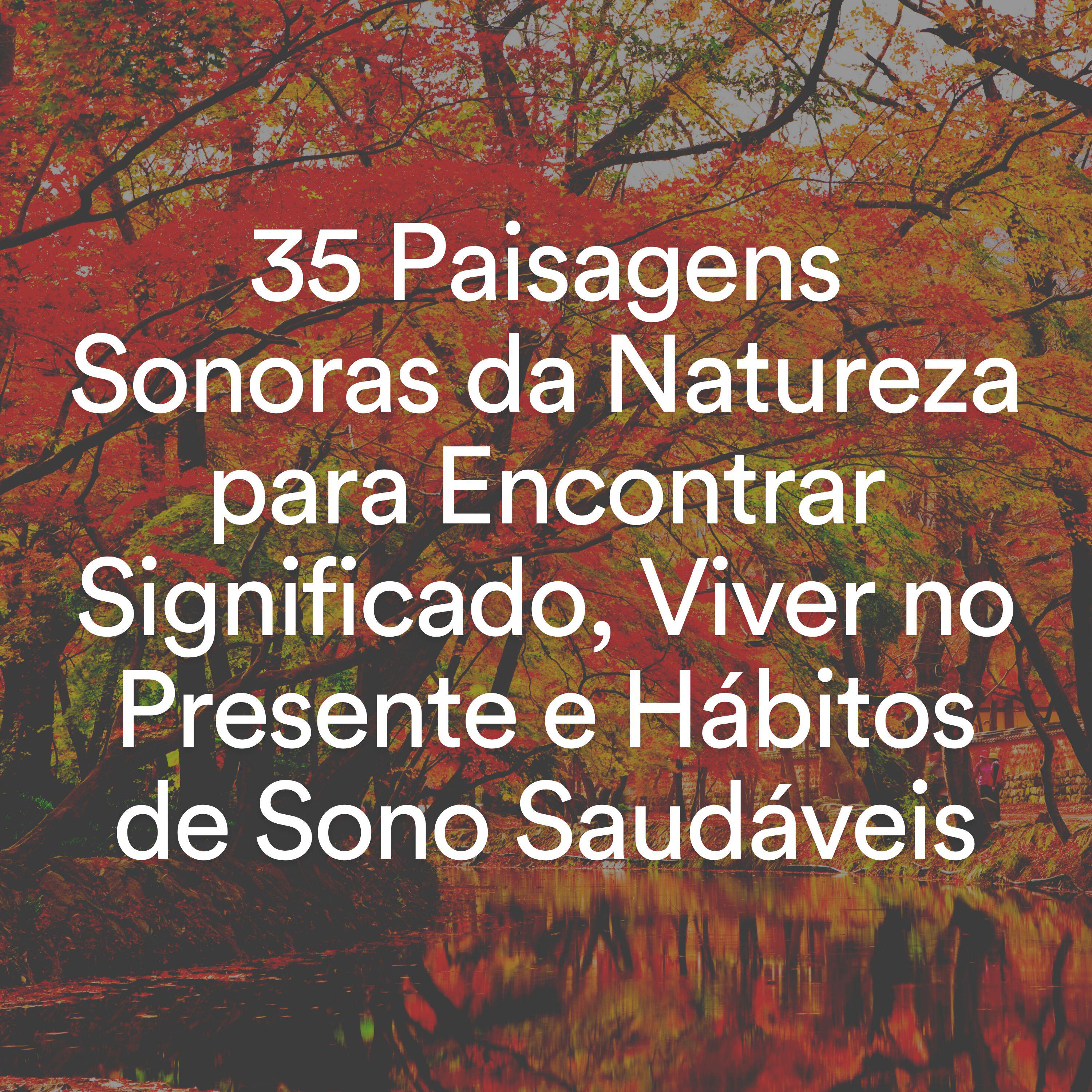 Постер альбома 35 Paisagens Sonoras da Natureza para Encontrar Significado, Viver no Presente e Hábitos de Sono Saudáveis