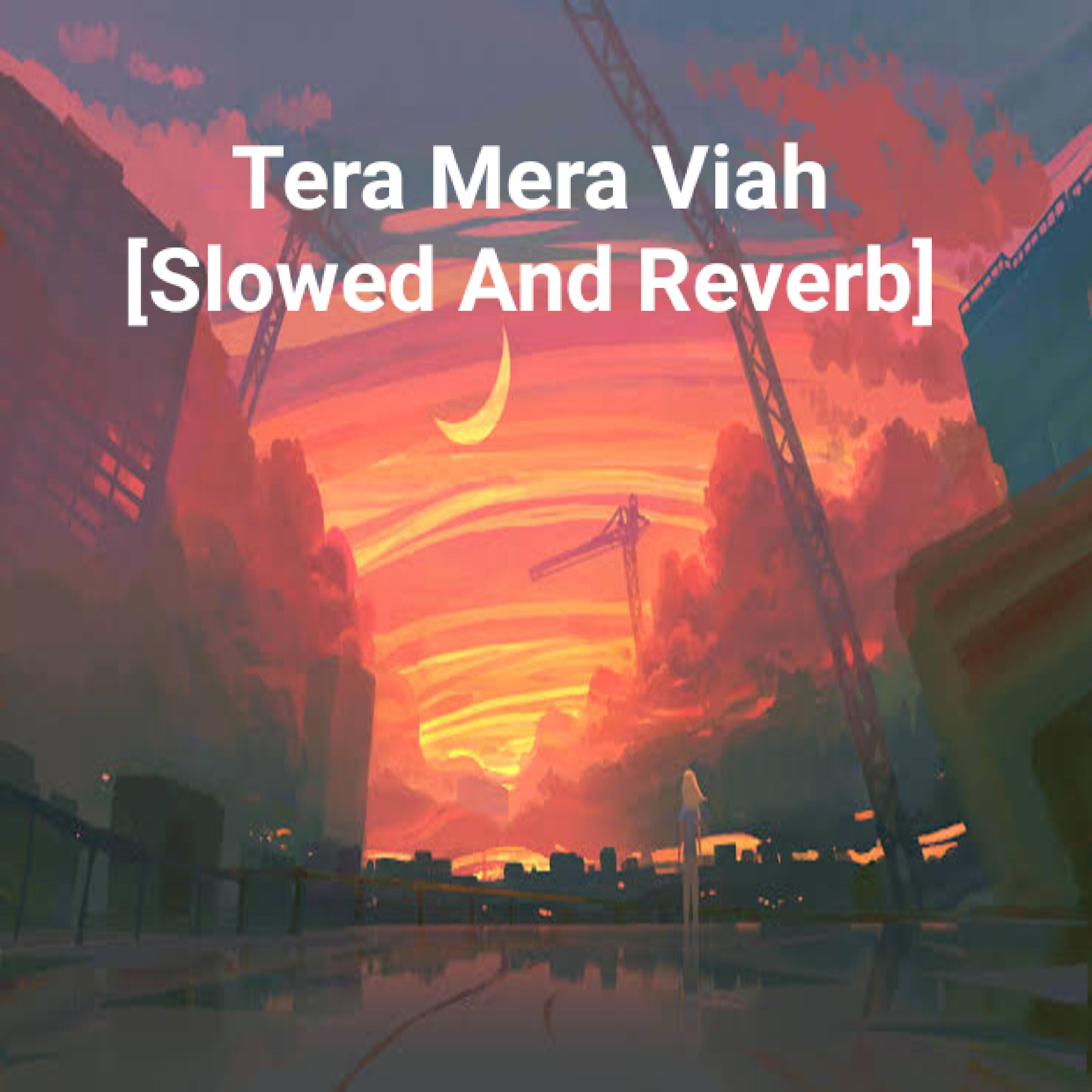 Постер альбома Tera Mera Viah [Slowed And Reverb]