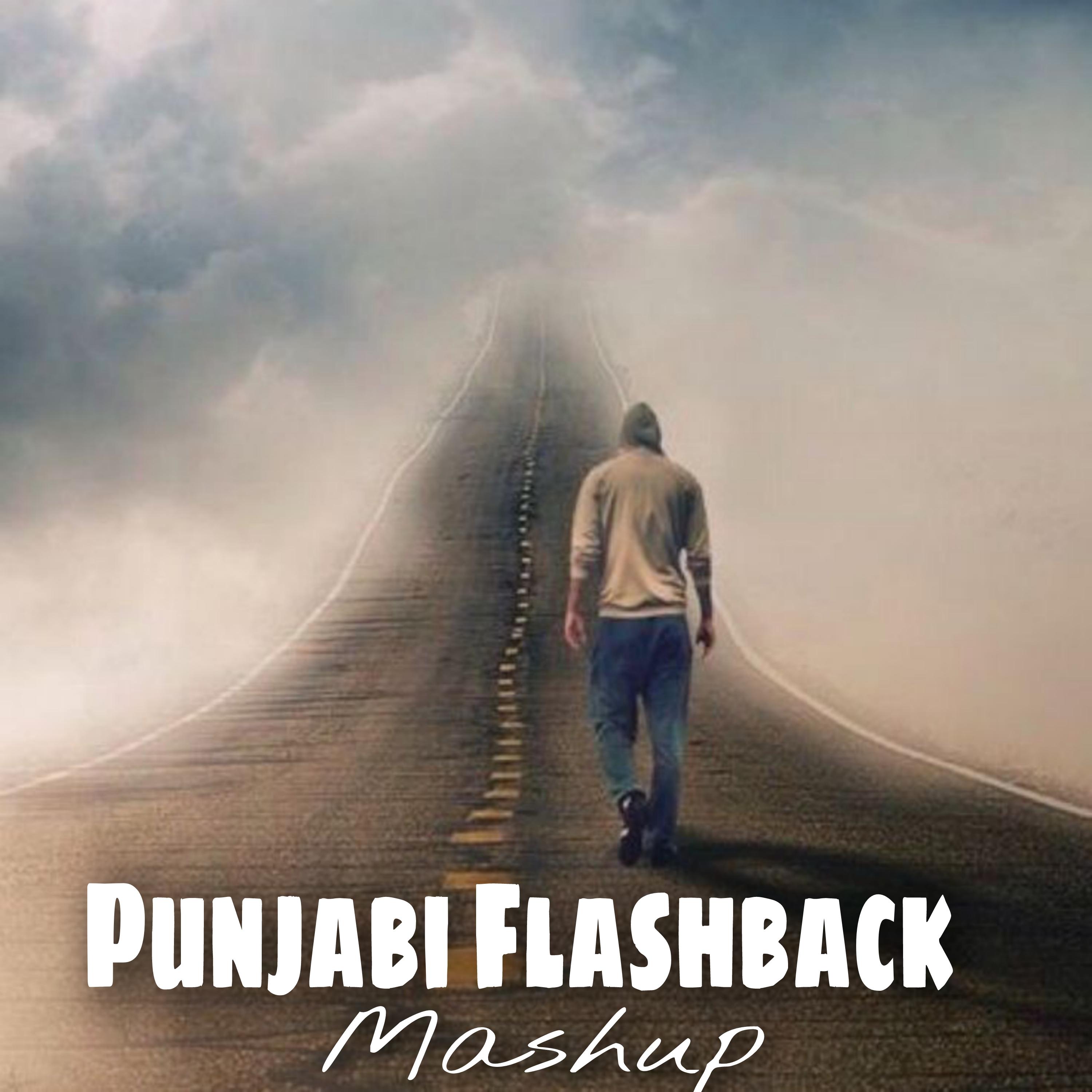 Постер альбома Punjabi Flashback (Mashup)